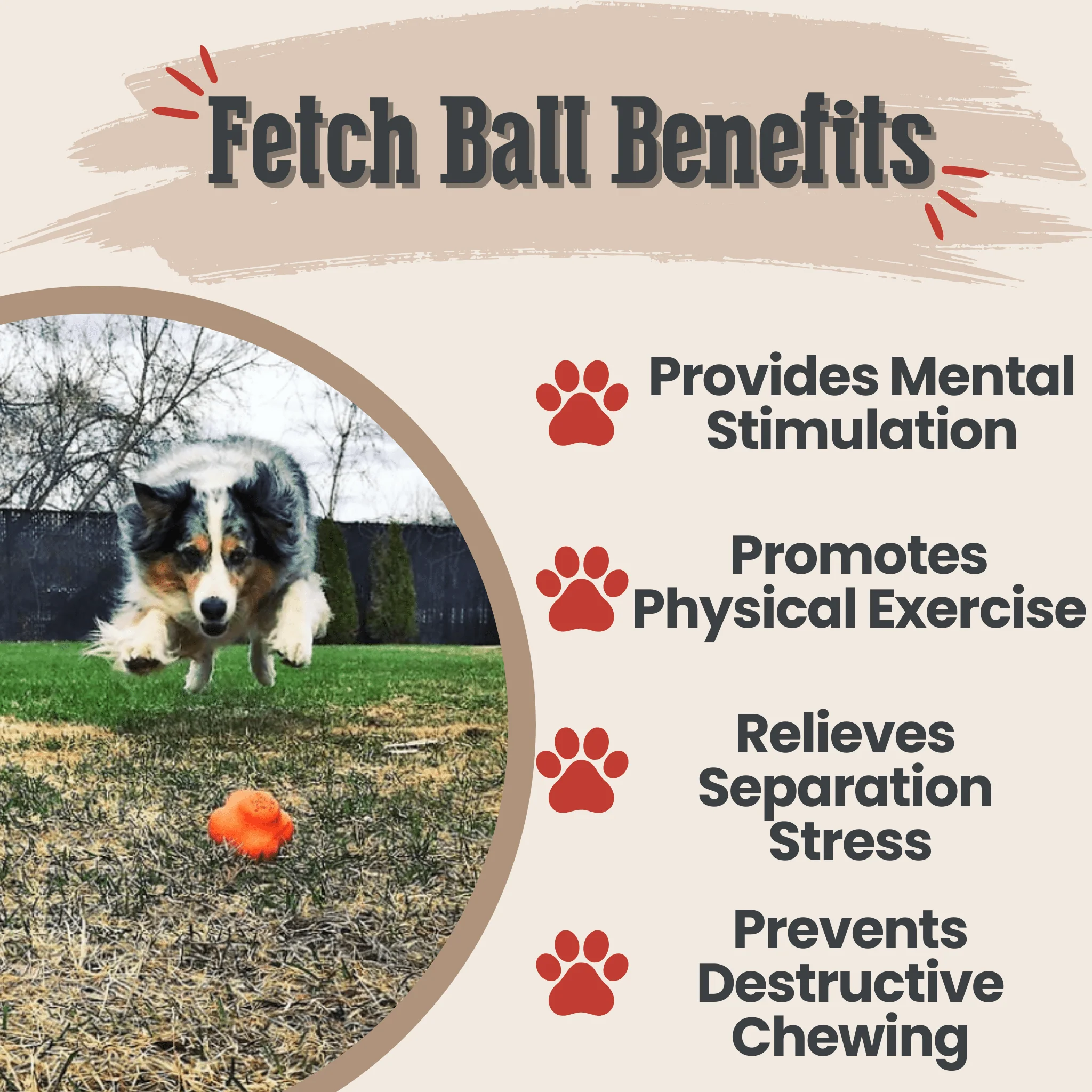 Farm To Pet Choice of Dog Ball - Image 15