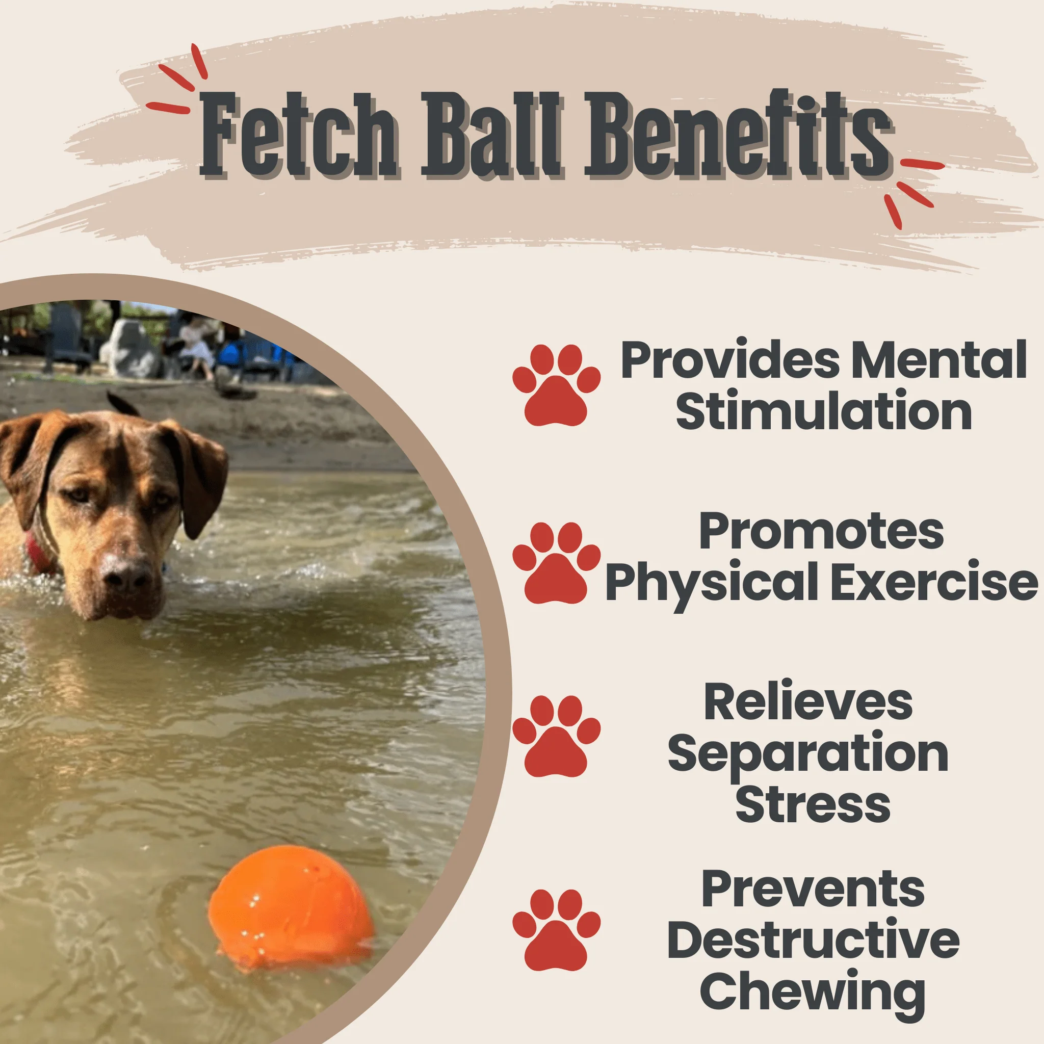 Farm To Pet Choice of Dog Ball - Image 6