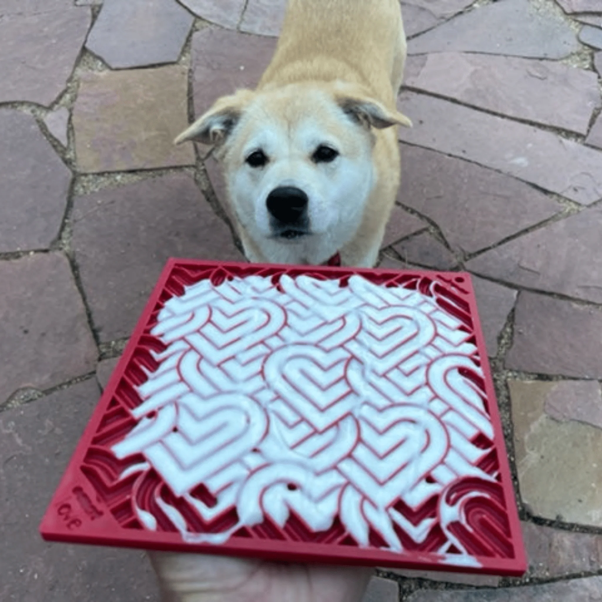 Farm To Pet Choice of Dog Lick Mats - Image 14