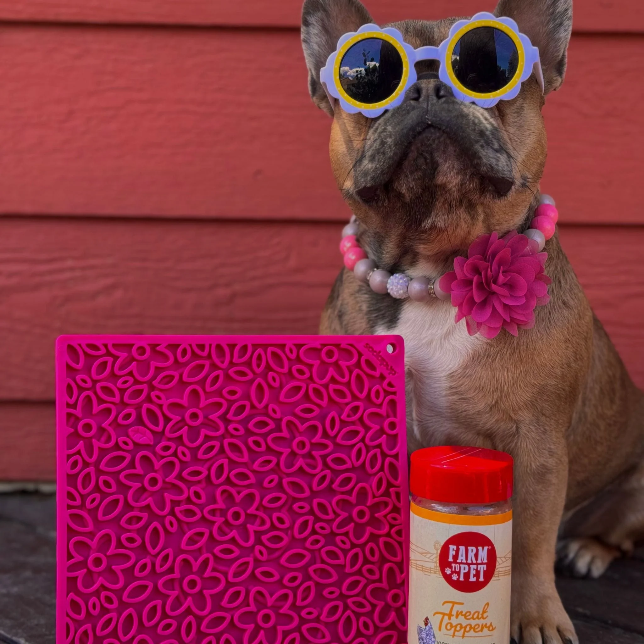 Farm To Pet Choice of Dog Lick Mats - Image 16