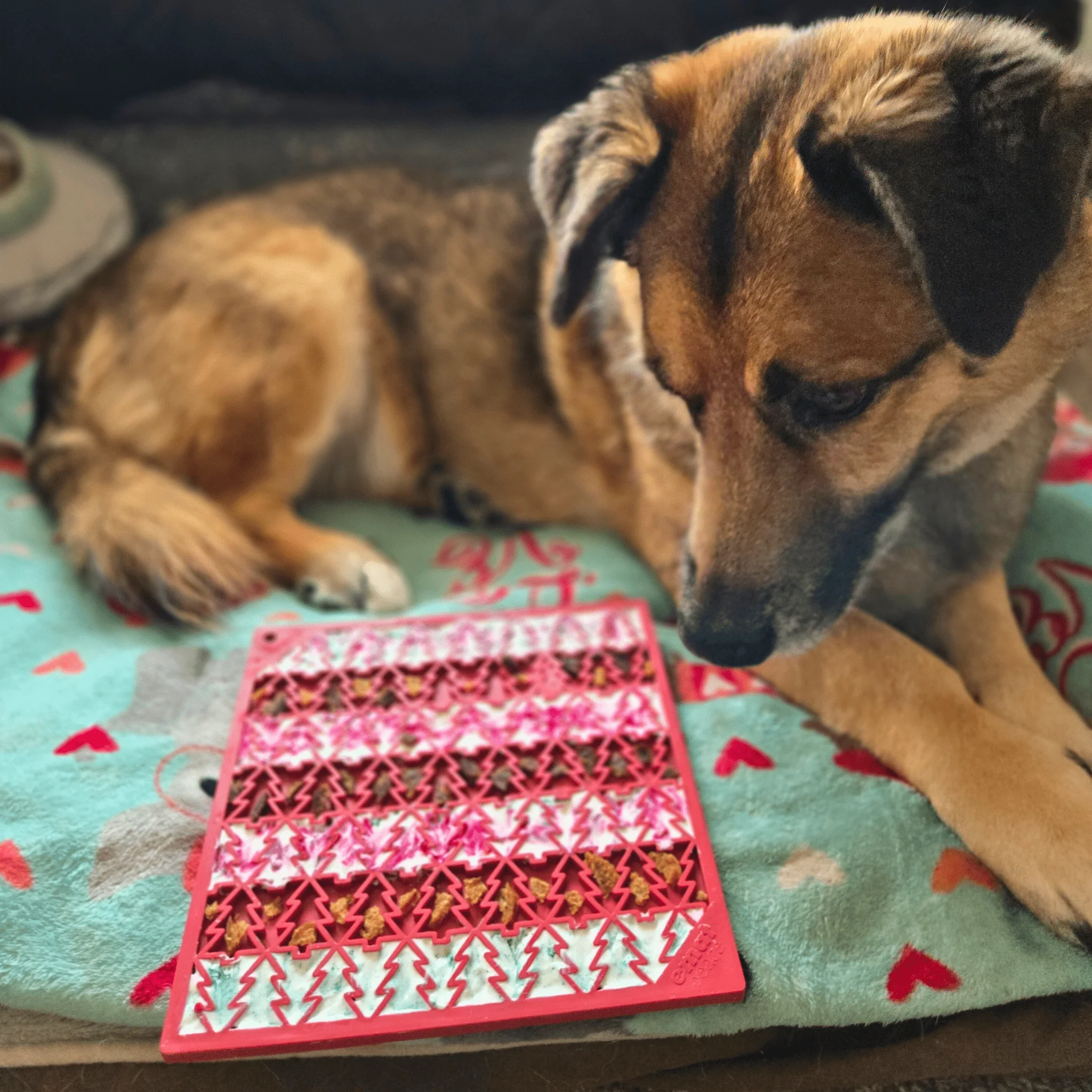 Farm To Pet Choice of Dog Lick Mats - Image 19