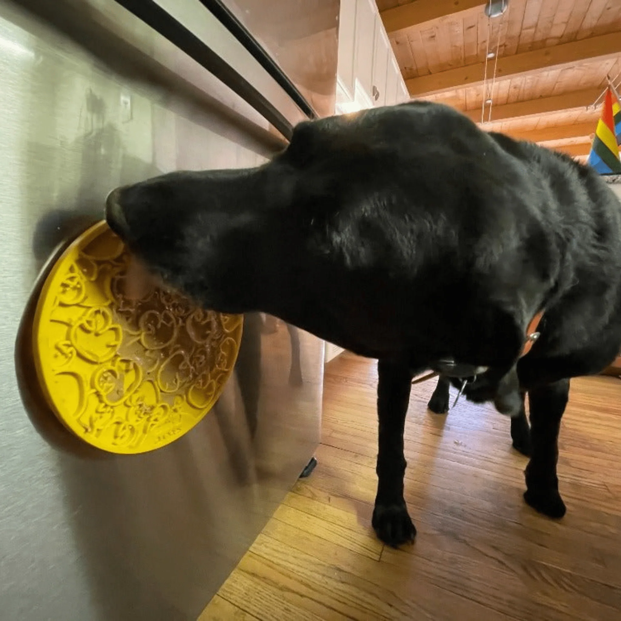 Farm To Pet Choice of Dog Lick Mat with Suction Cups - Image 12