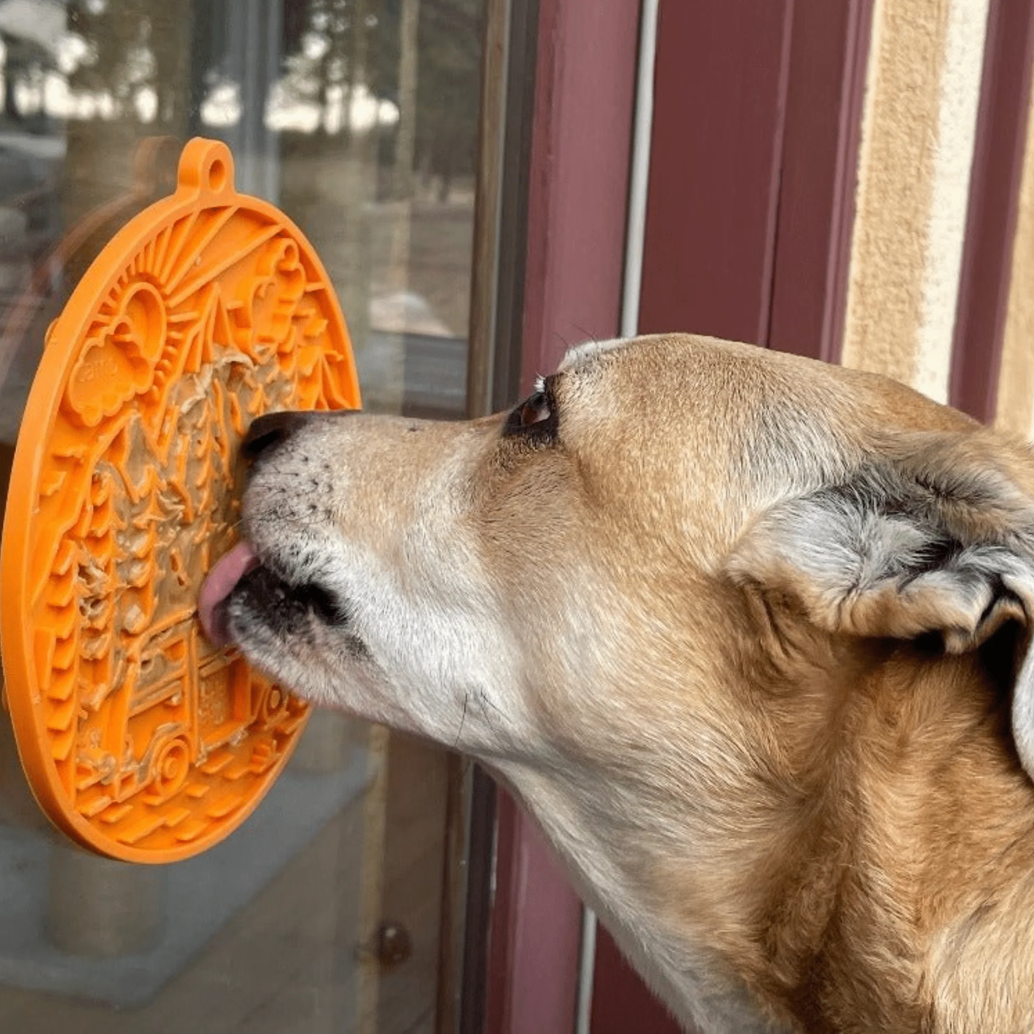 Farm To Pet Choice of Dog Lick Mat with Suction Cups - Image 17