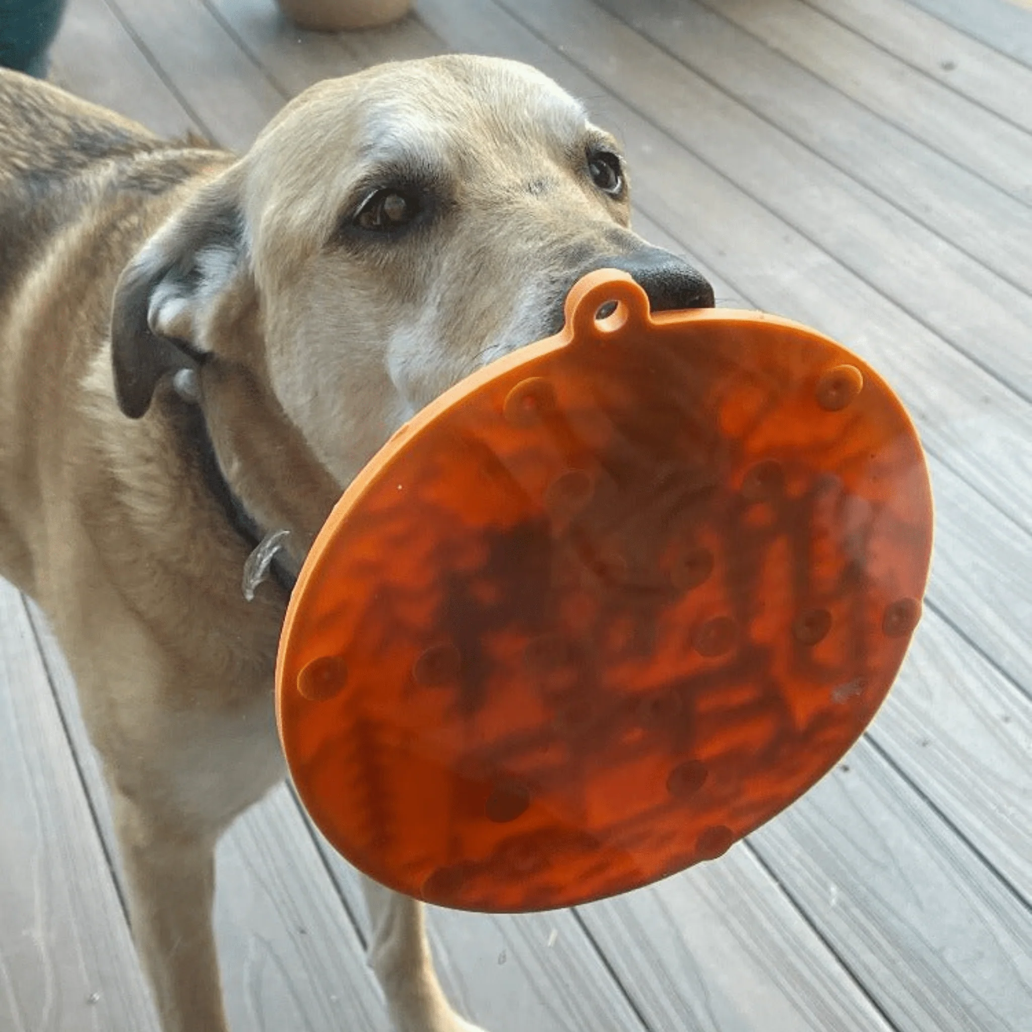 Farm To Pet Choice of Dog Lick Mat with Suction Cups - Image 18