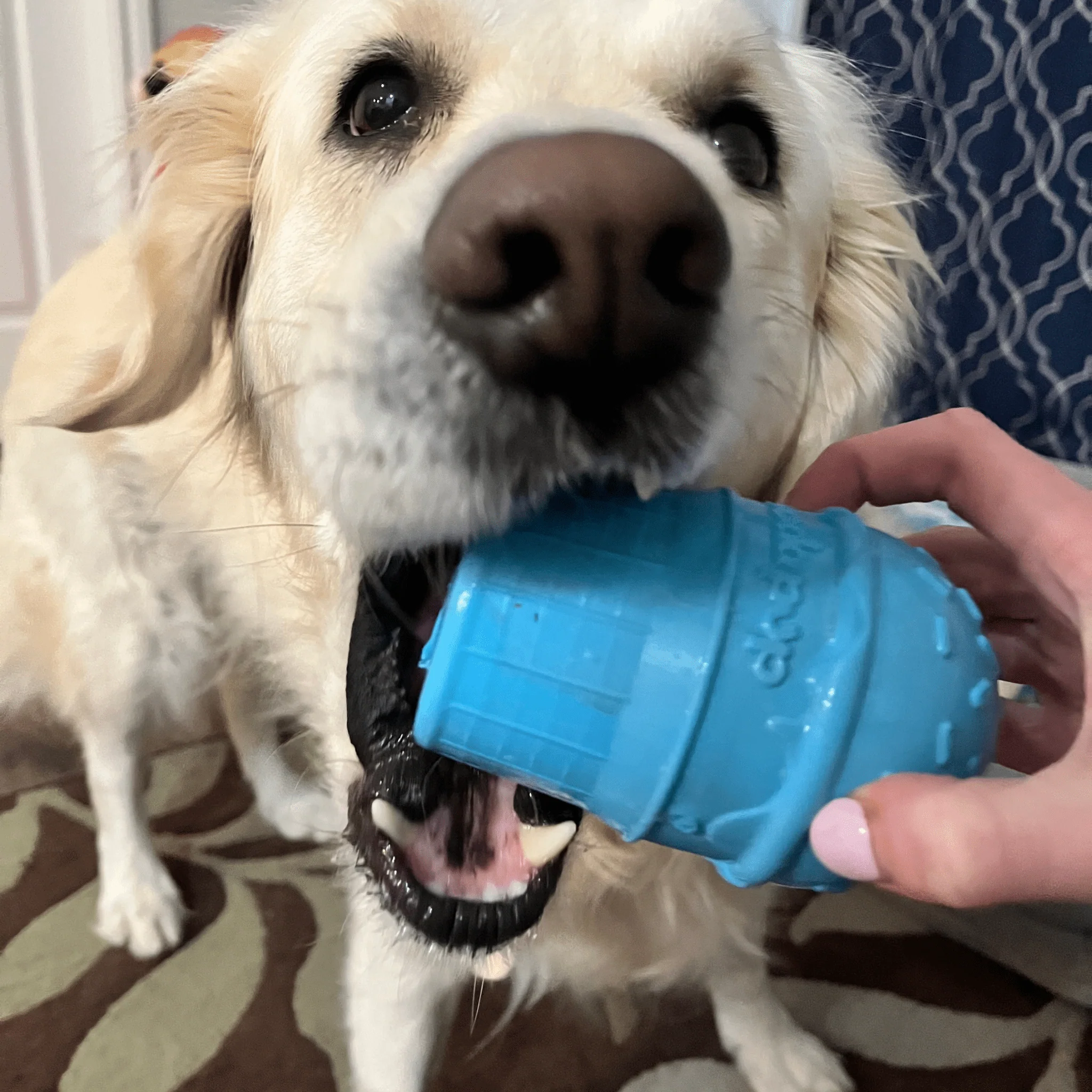 Farm To Pet Choice of Dog Treat Dispenser - Image 15