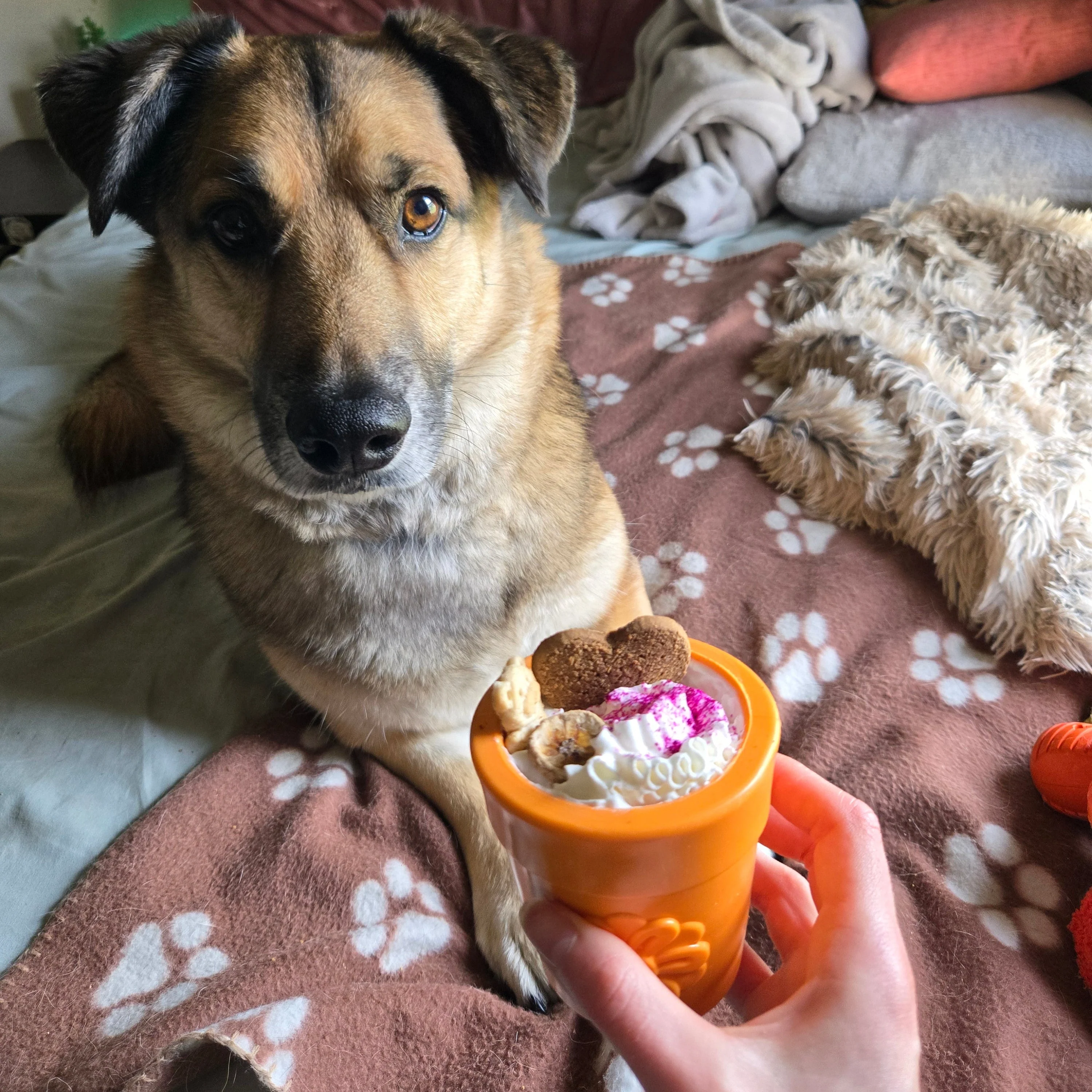 Farm To Pet Choice of Dog Treat Dispenser - Image 21