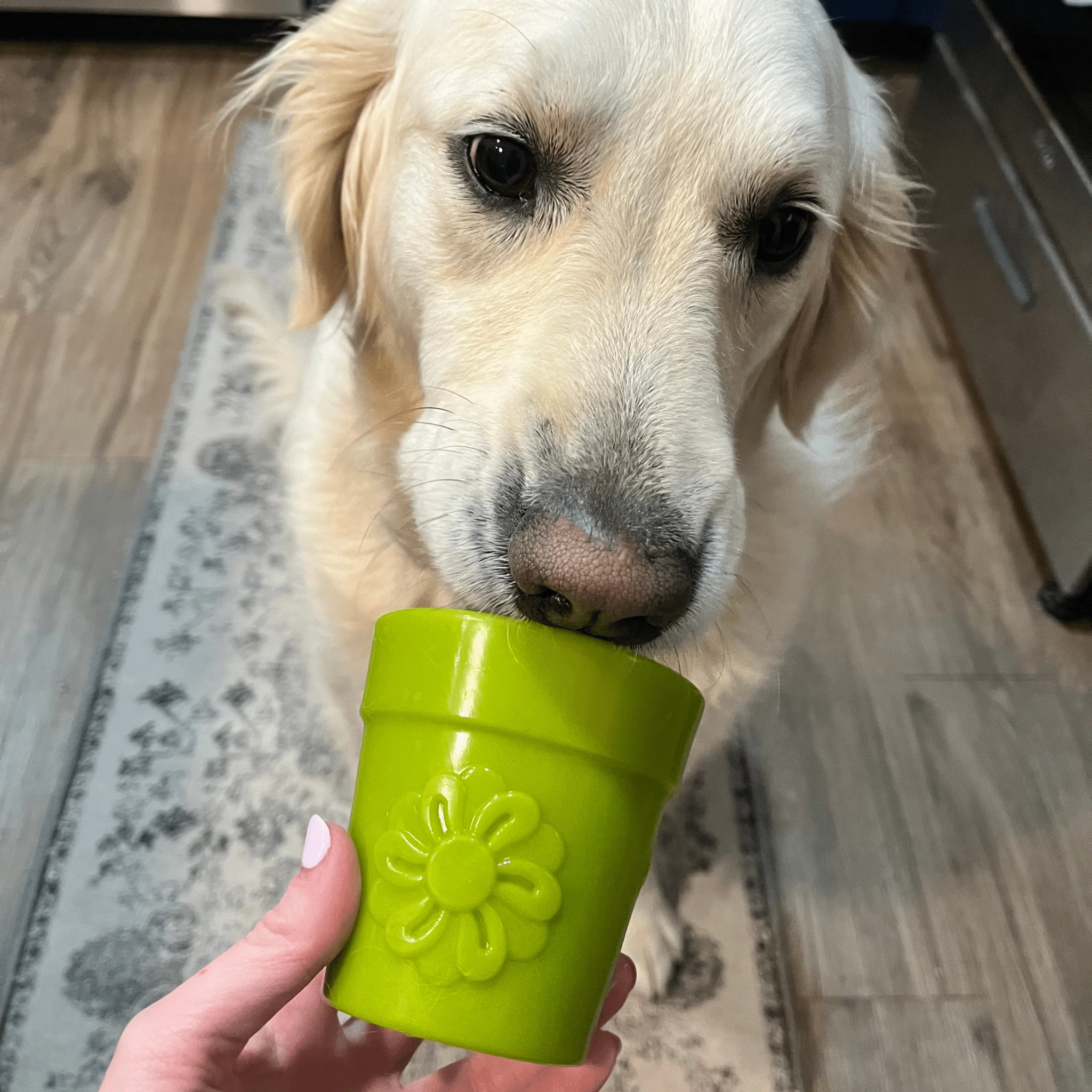Farm To Pet Choice of Dog Treat Dispenser - Image 22
