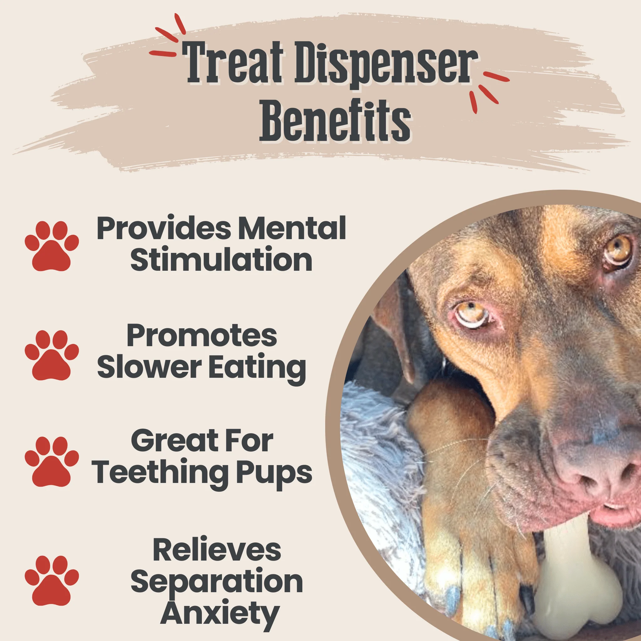 Farm To Pet Choice of Dog Treat Dispenser - Image 34