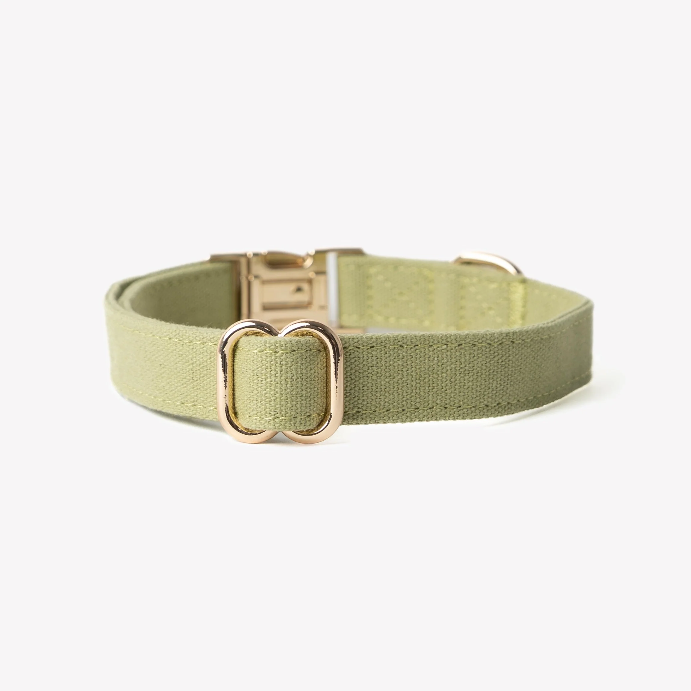Furlou Green Canvas Dog Collar Choice of Size - Image 2