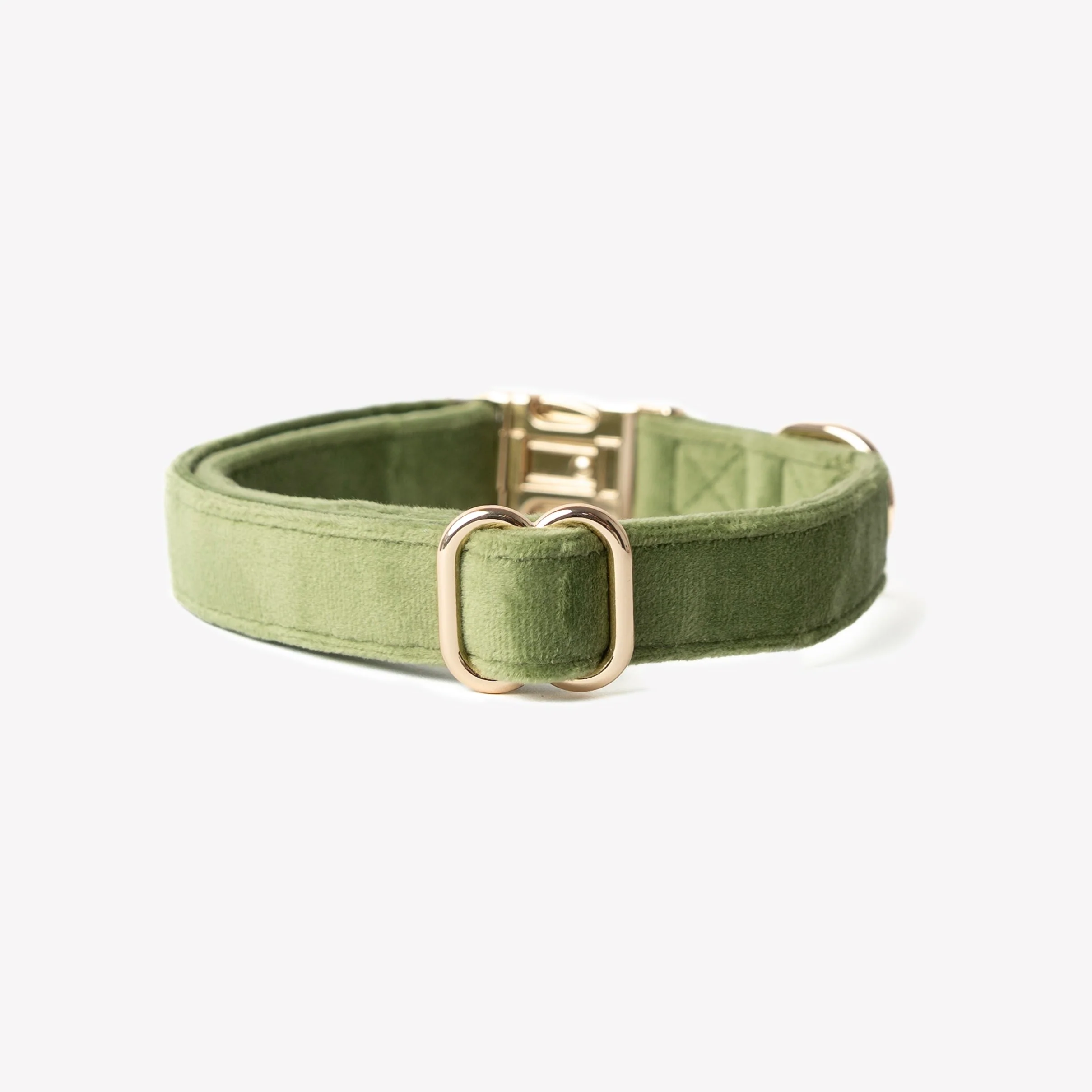 Furlou Green Velvet Dog Collar Choice of Size - Image 2