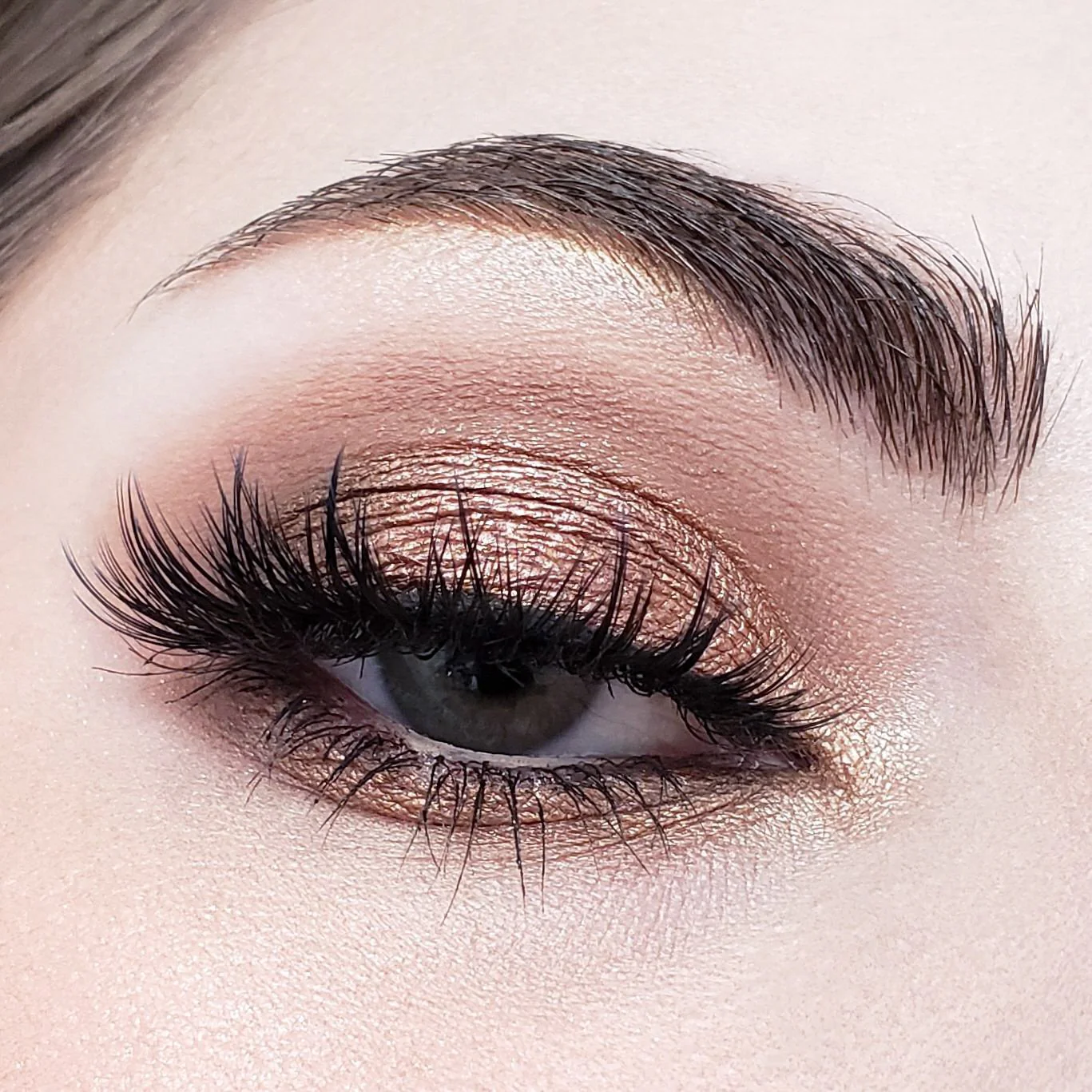Crown Brush Neutral & Mauve Toned Java Collection Eyeshadow Palette - Image 8