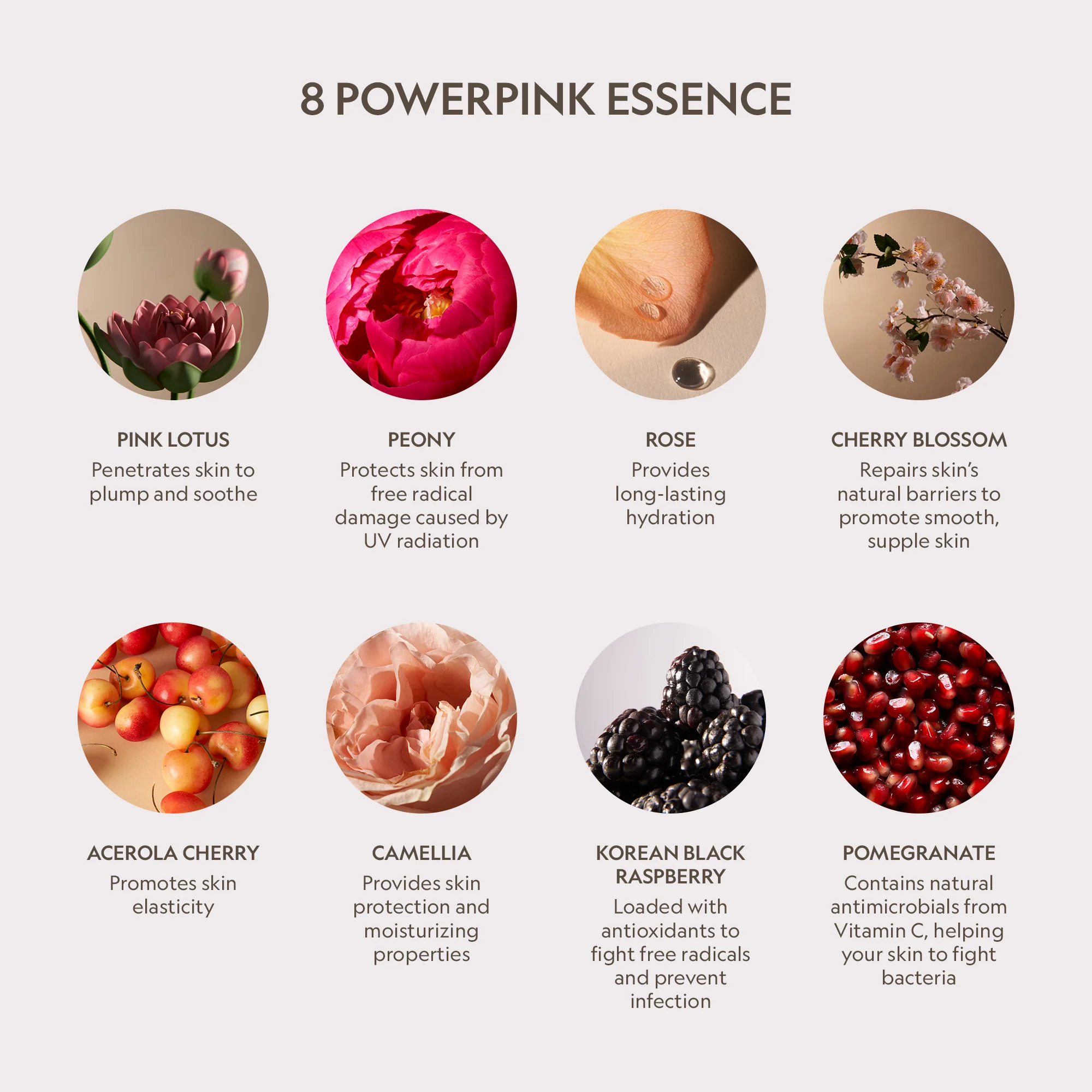 YENSA Pink Lotus Peptide Renewal Face Cream 1.7oz - Image 3