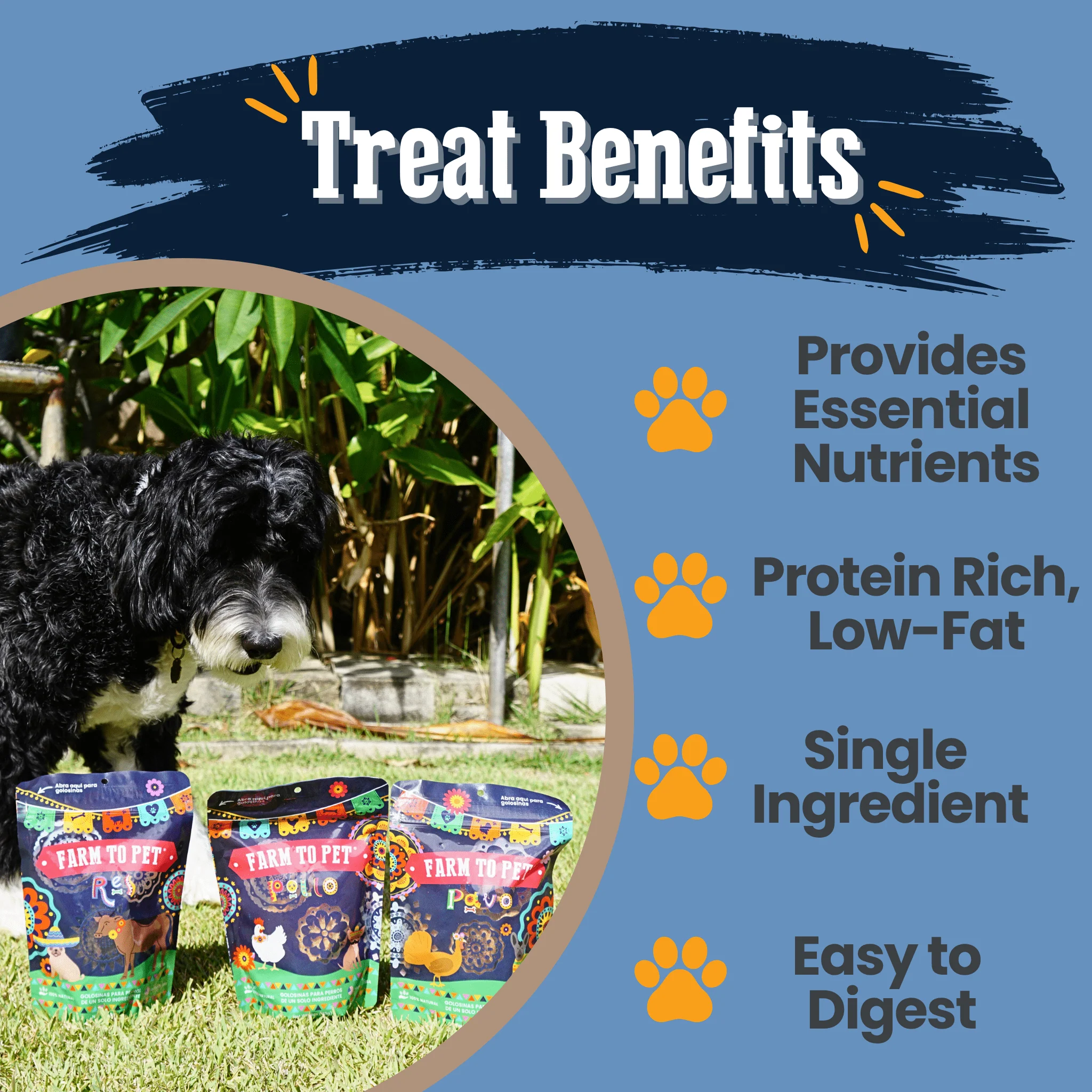 Farm To Table Premios Para Perros Fiesta Dog Treat Variety Bundle - Image 4