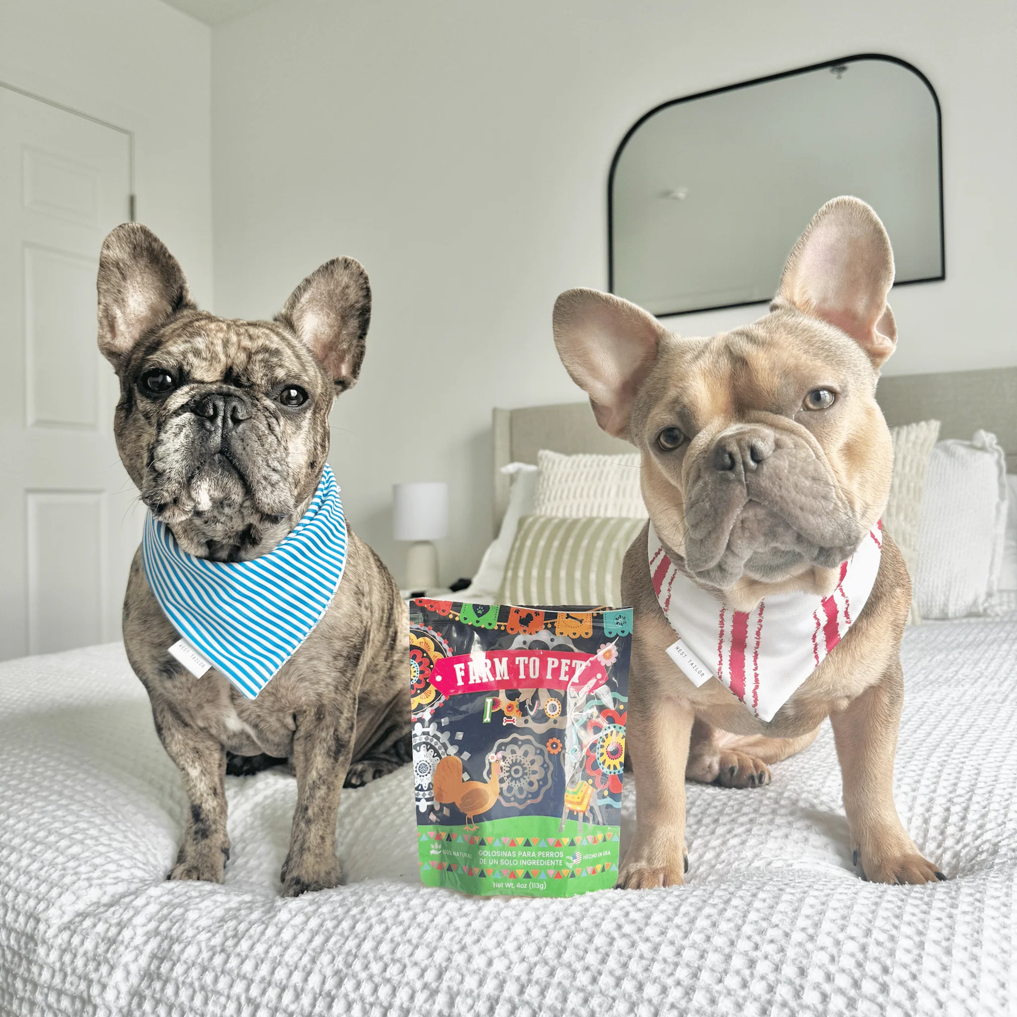 Farm To Table Premios Para Perros Fiesta Dog Treat Variety Bundle - Image 6