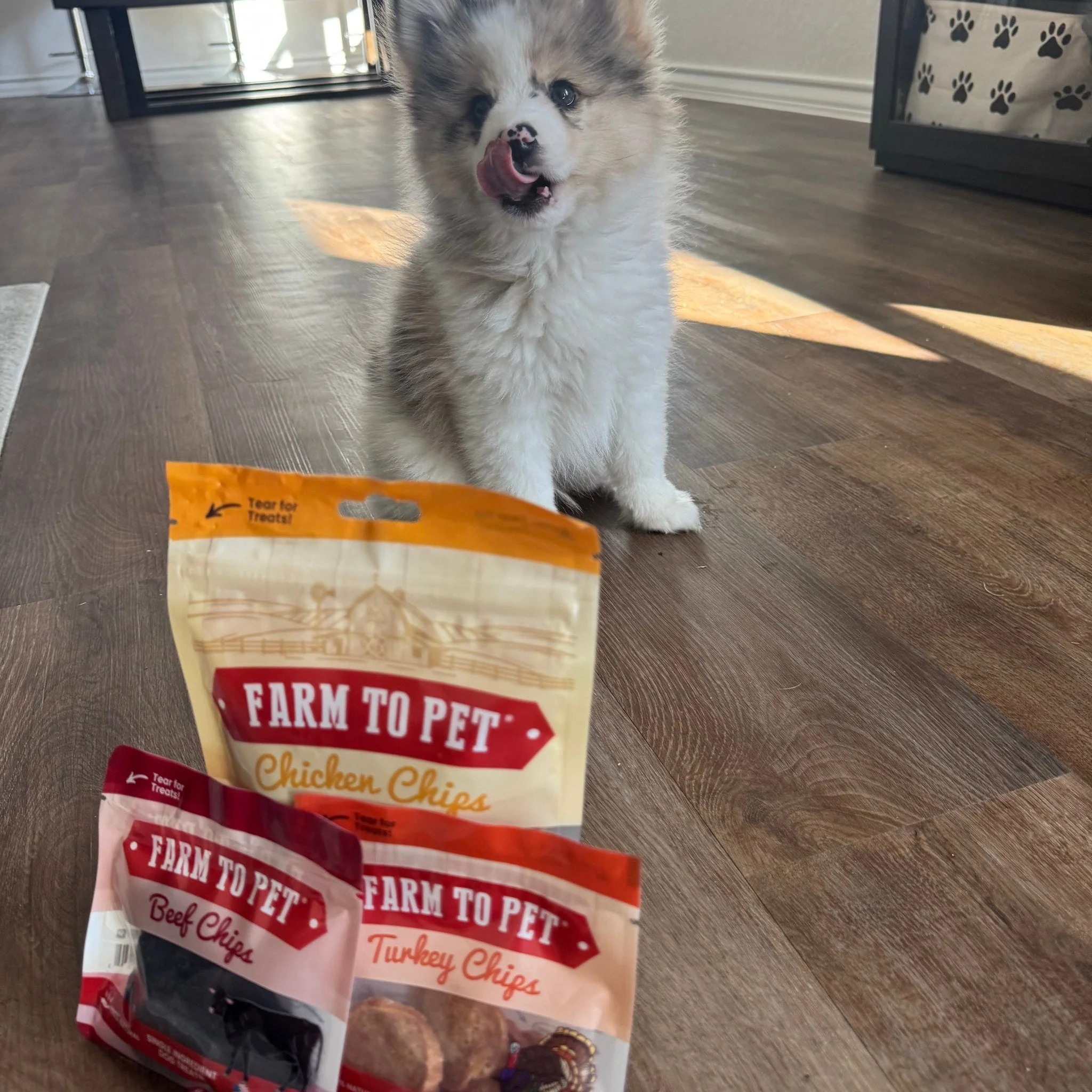 Farm To Pet Puppy Packs 'n Snacks Dog Treat Starter Pack - Image 12