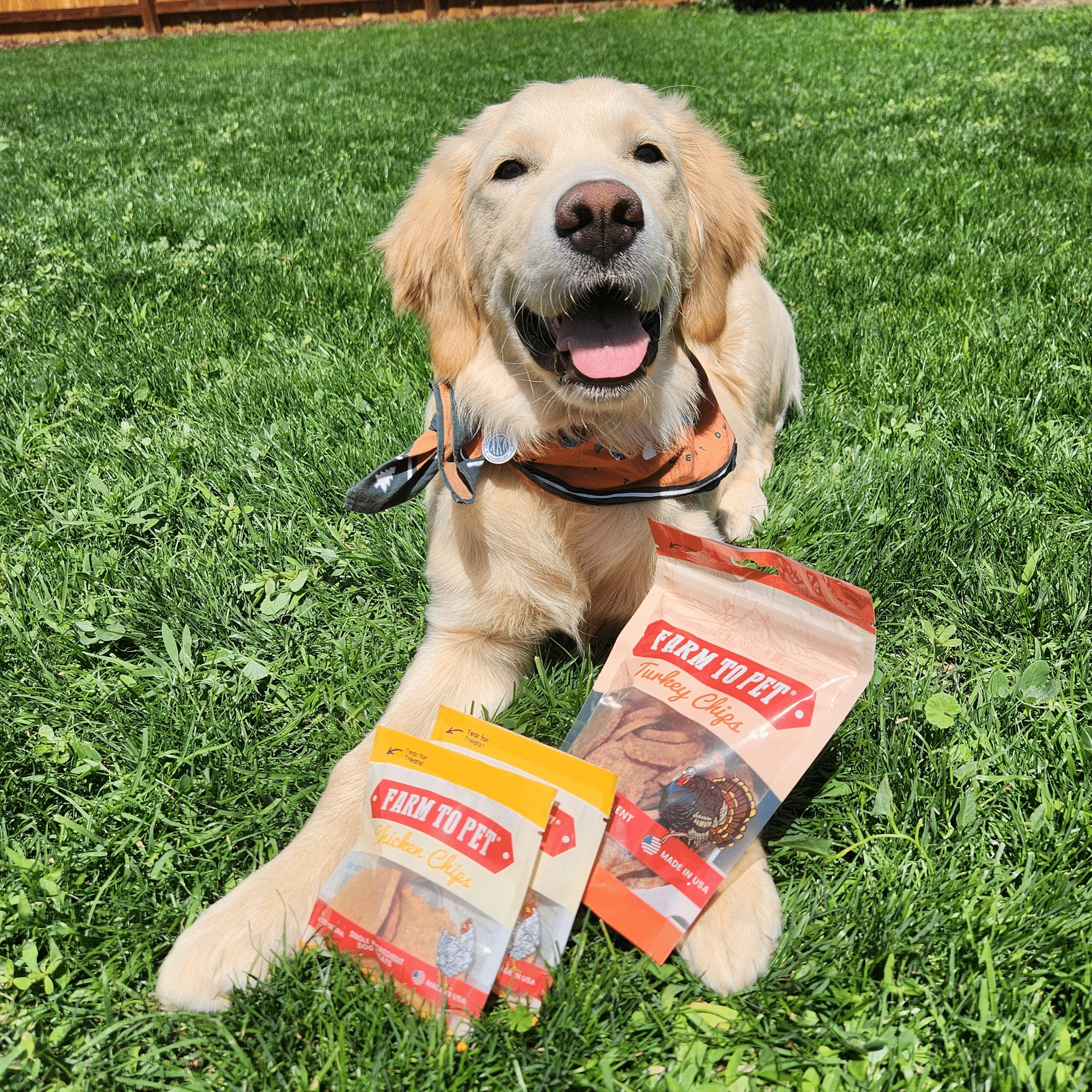 Farm To Pet Puppy Packs 'n Snacks Dog Treat Starter Pack - Image 13