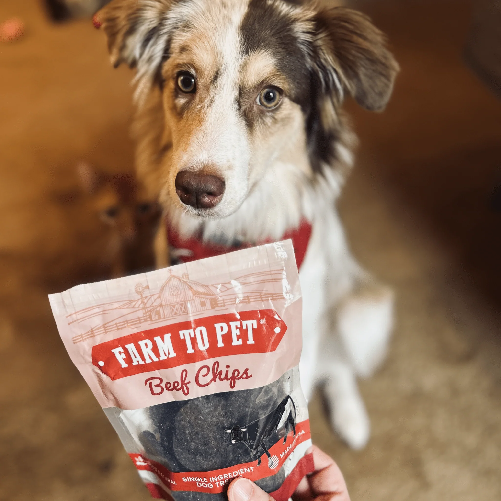 Farm To Pet Puppy Packs 'n Snacks Dog Treat Starter Pack - Image 14
