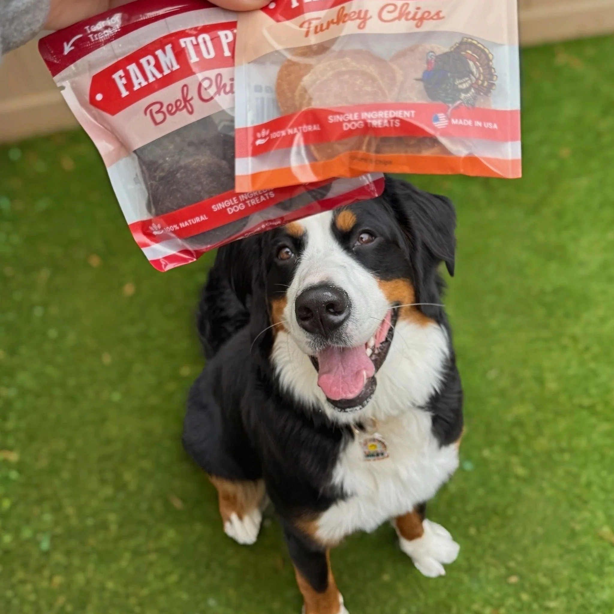 Farm To Pet Puppy Packs 'n Snacks Dog Treat Starter Pack - Image 15
