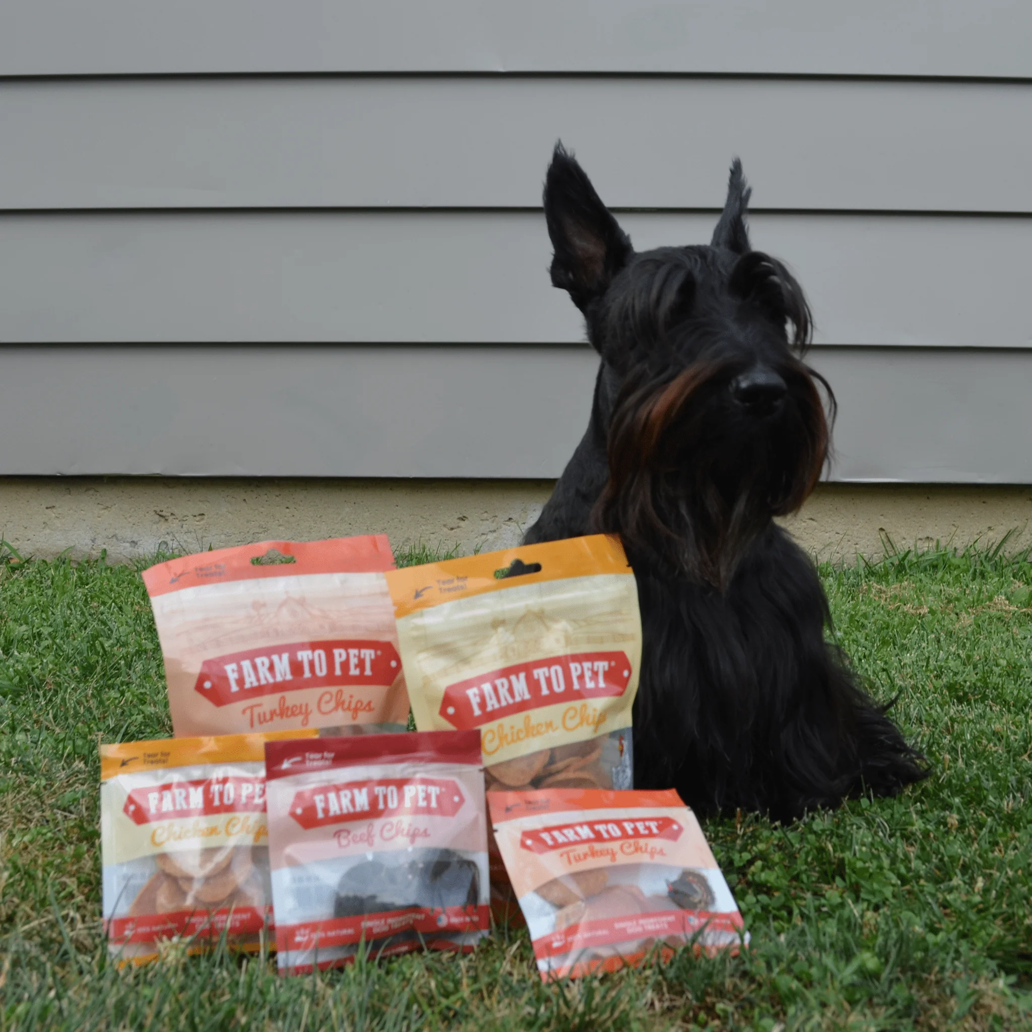 Farm To Pet Puppy Packs 'n Snacks Dog Treat Starter Pack - Image 16