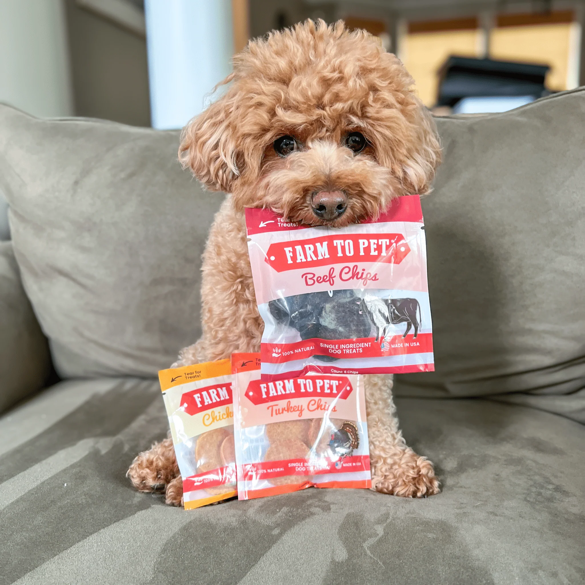 Farm To Pet Puppy Packs 'n Snacks Dog Treat Starter Pack - Image 17