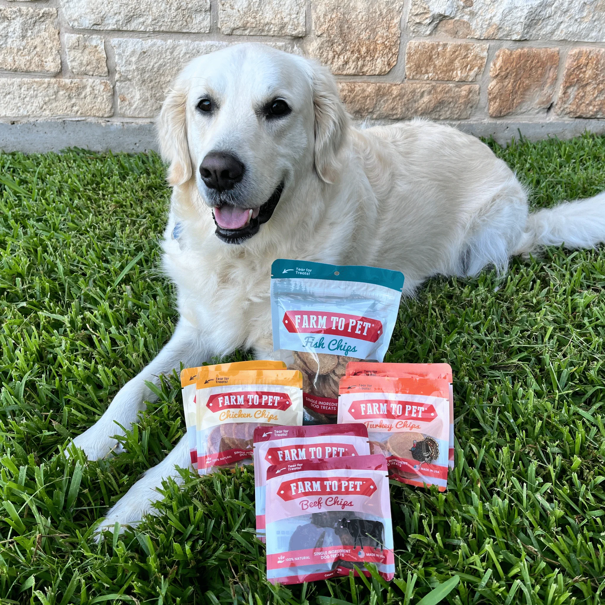 Farm To Pet Puppy Packs 'n Snacks Dog Treat Starter Pack - Image 18