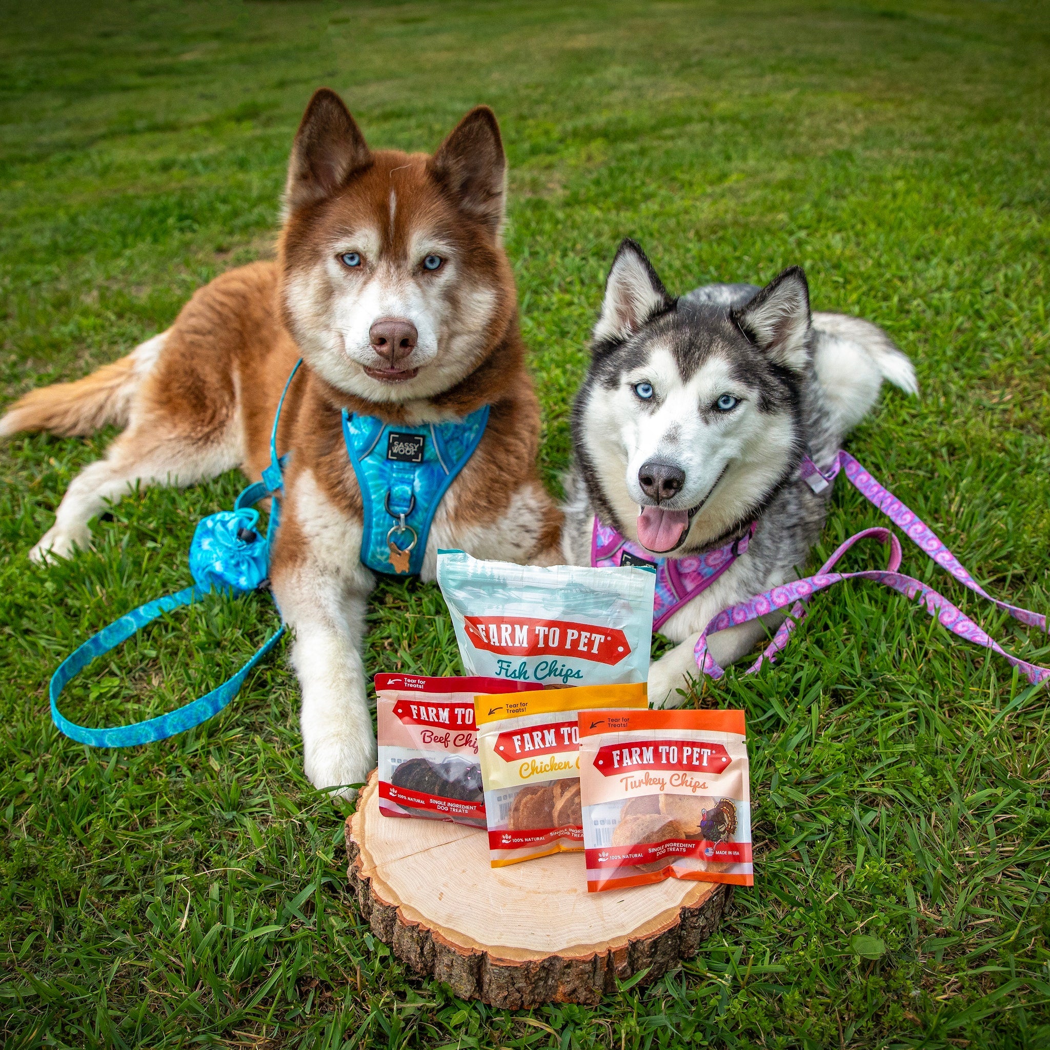 Farm To Pet Puppy Packs 'n Snacks Dog Treat Starter Pack - Image 19