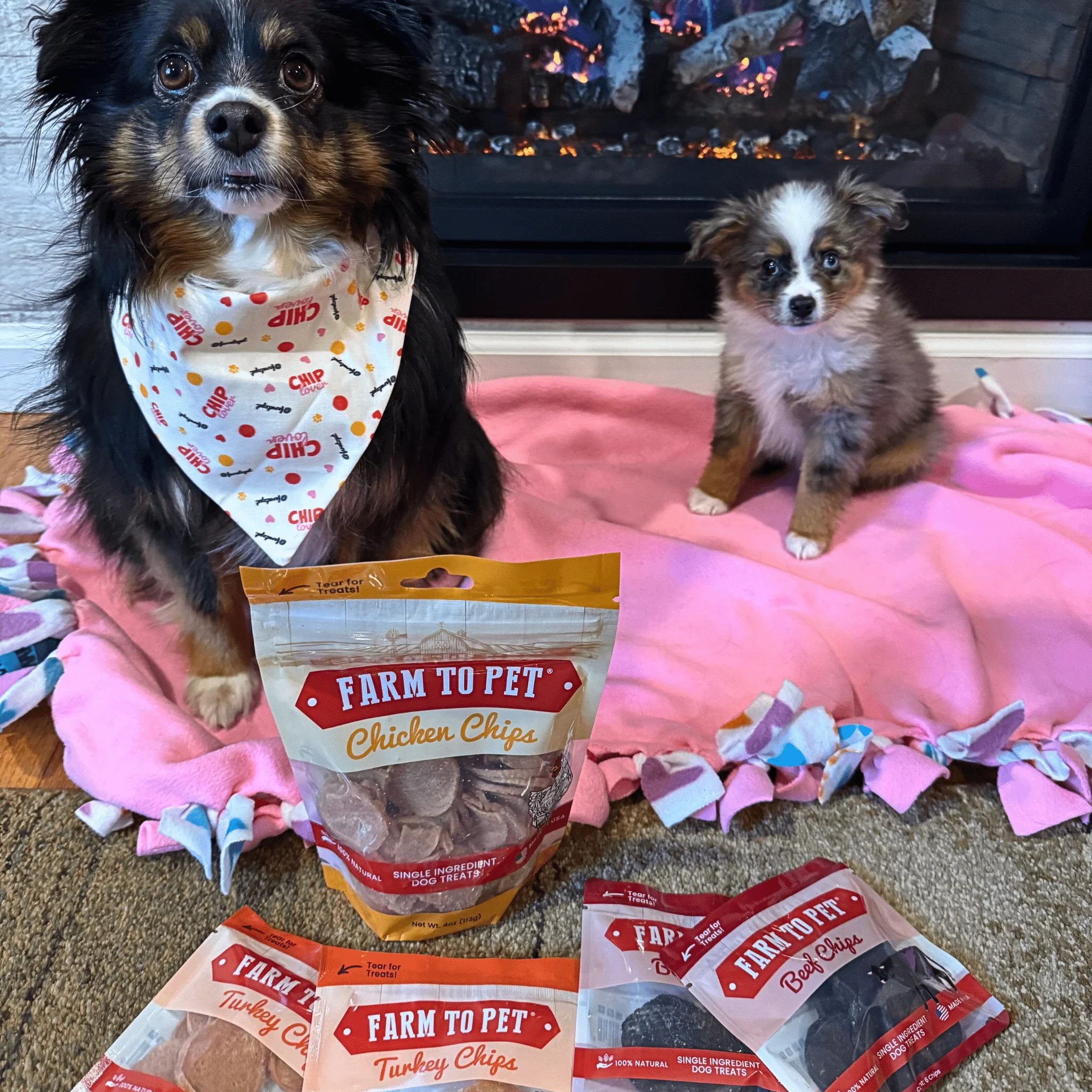 Farm To Pet Puppy Packs 'n Snacks Dog Treat Starter Pack - Image 9