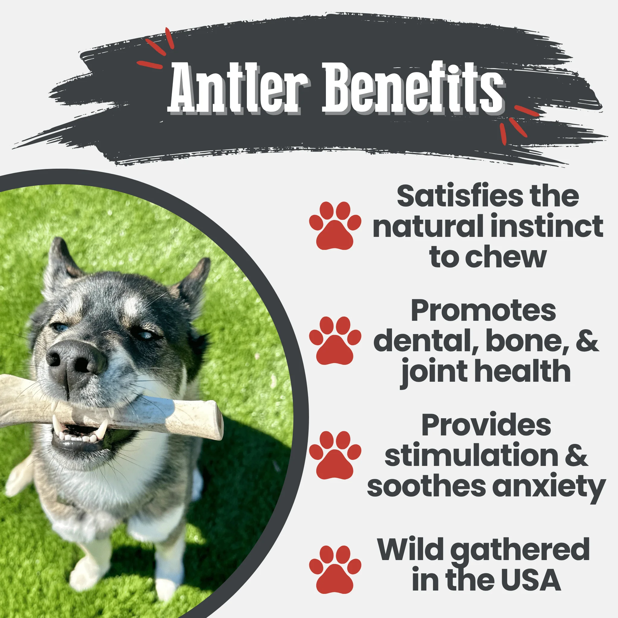 Farm To Pet Choice of Organic Reindeer Antler Dog Chews - Image 10