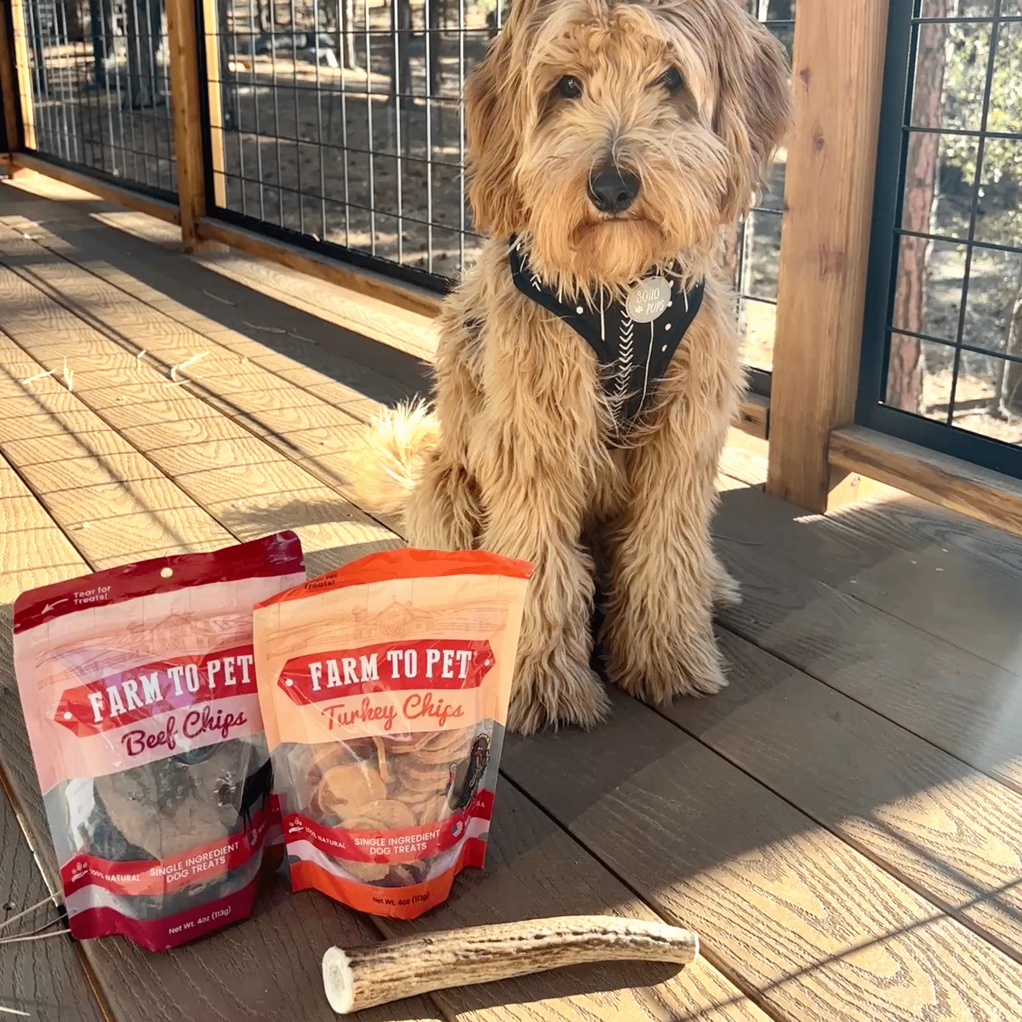Farm To Pet Choice of Organic Reindeer Antler Dog Chews - Image 22