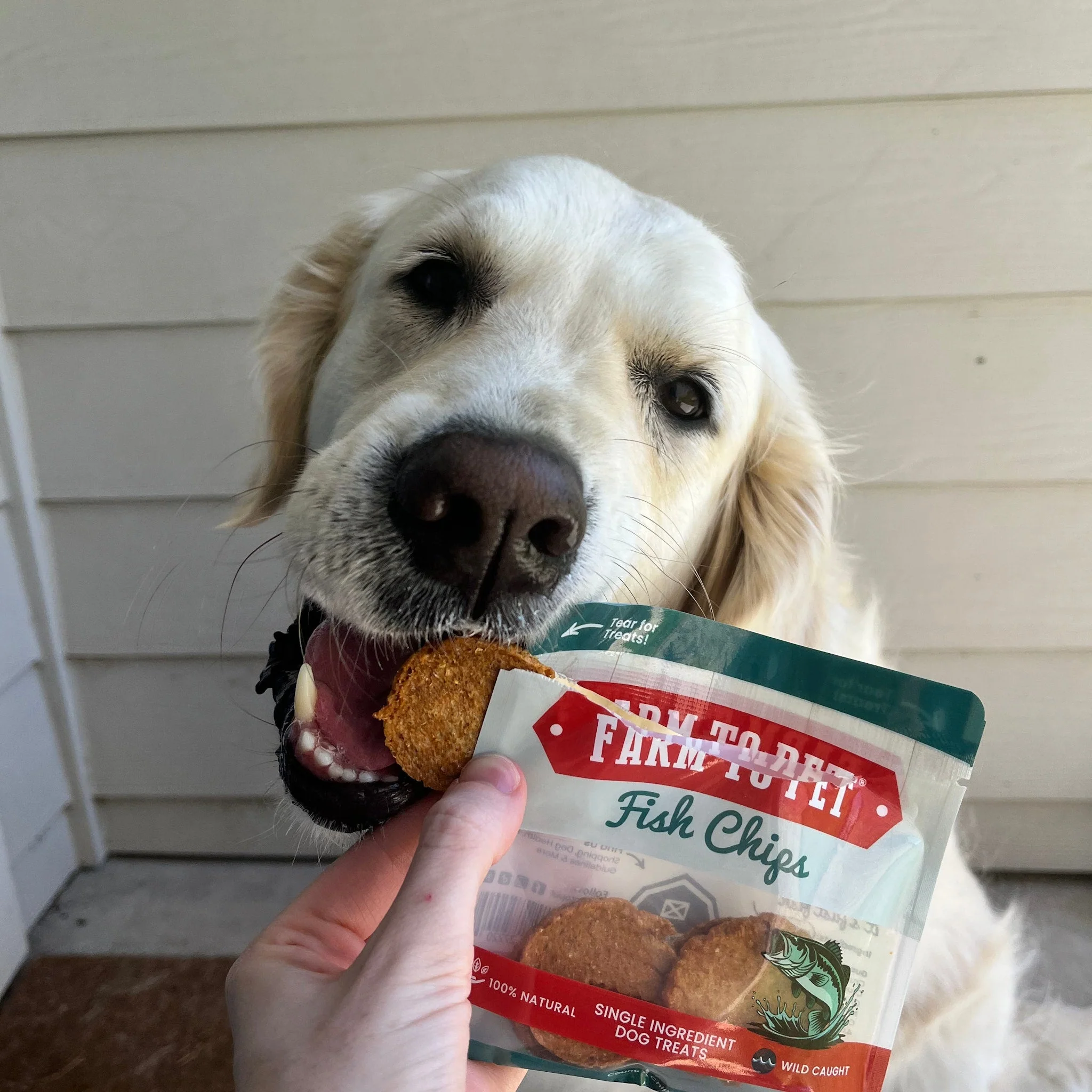 Farm To Pet Single-Ingredient Dog Treats Snack Pack Sampler - Image 10