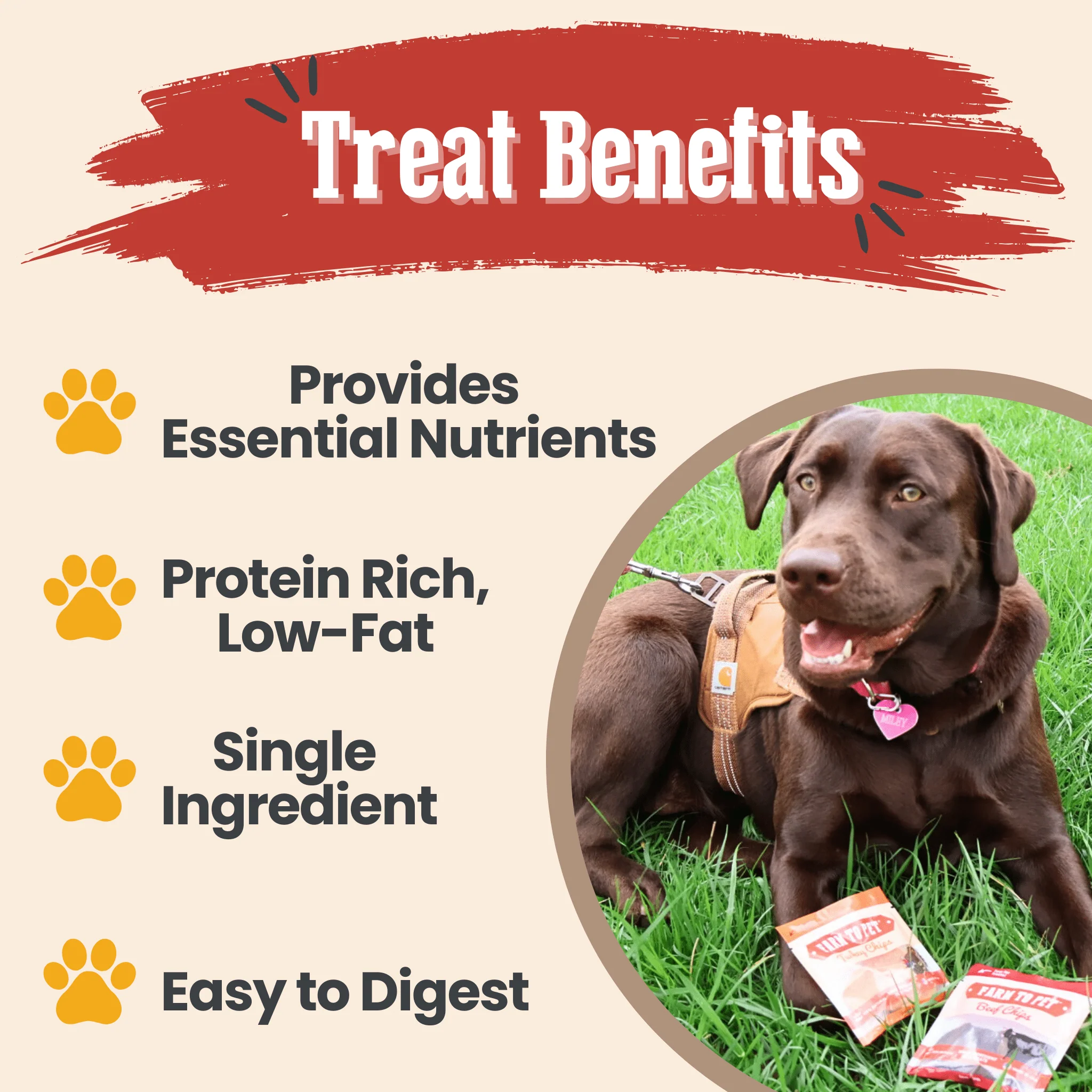 Farm To Pet Single-Ingredient Dog Treats Snack Pack Sampler - Image 5