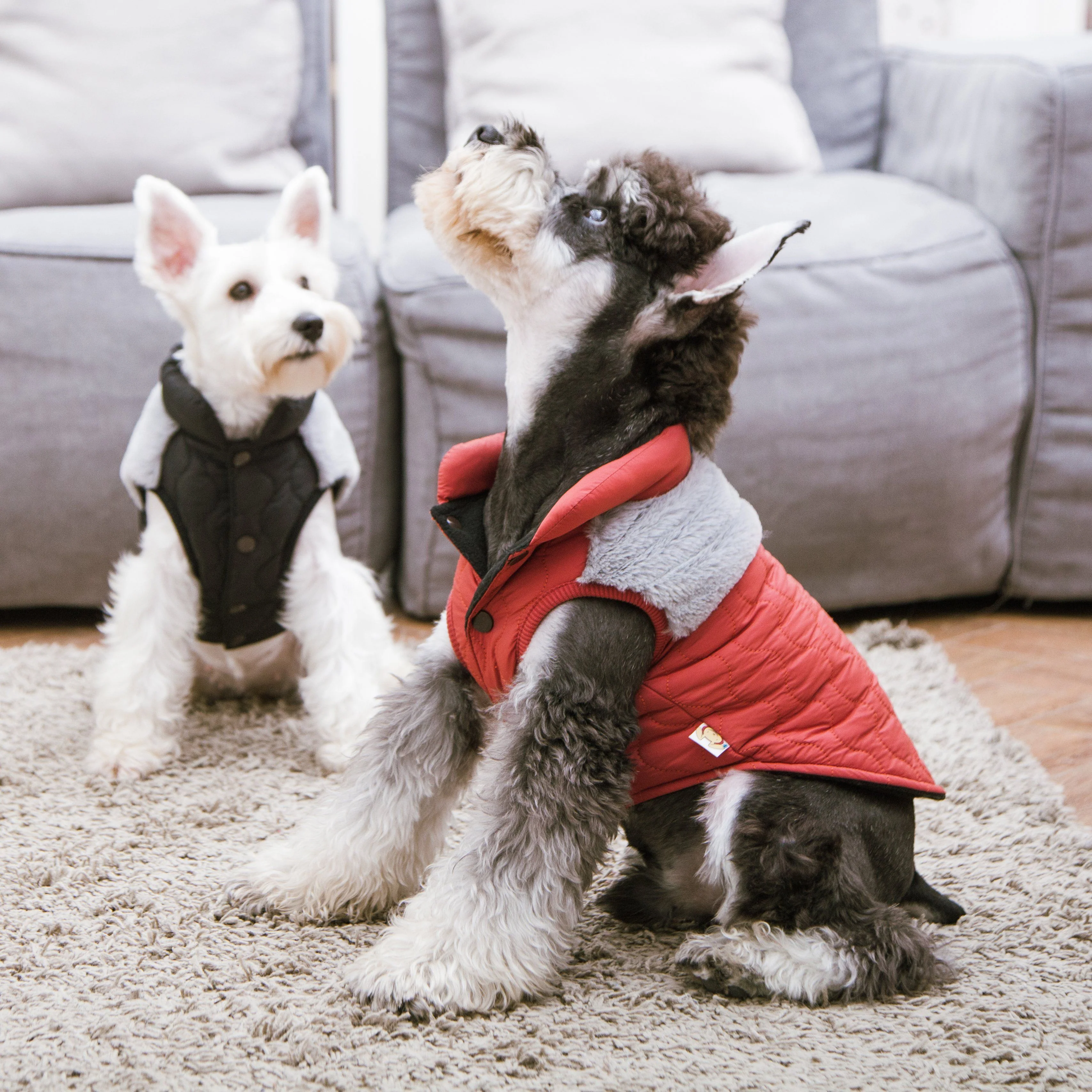 Touchdog 'Furrost-Bite' Fur & Fleece Dog Jacket - Image 9