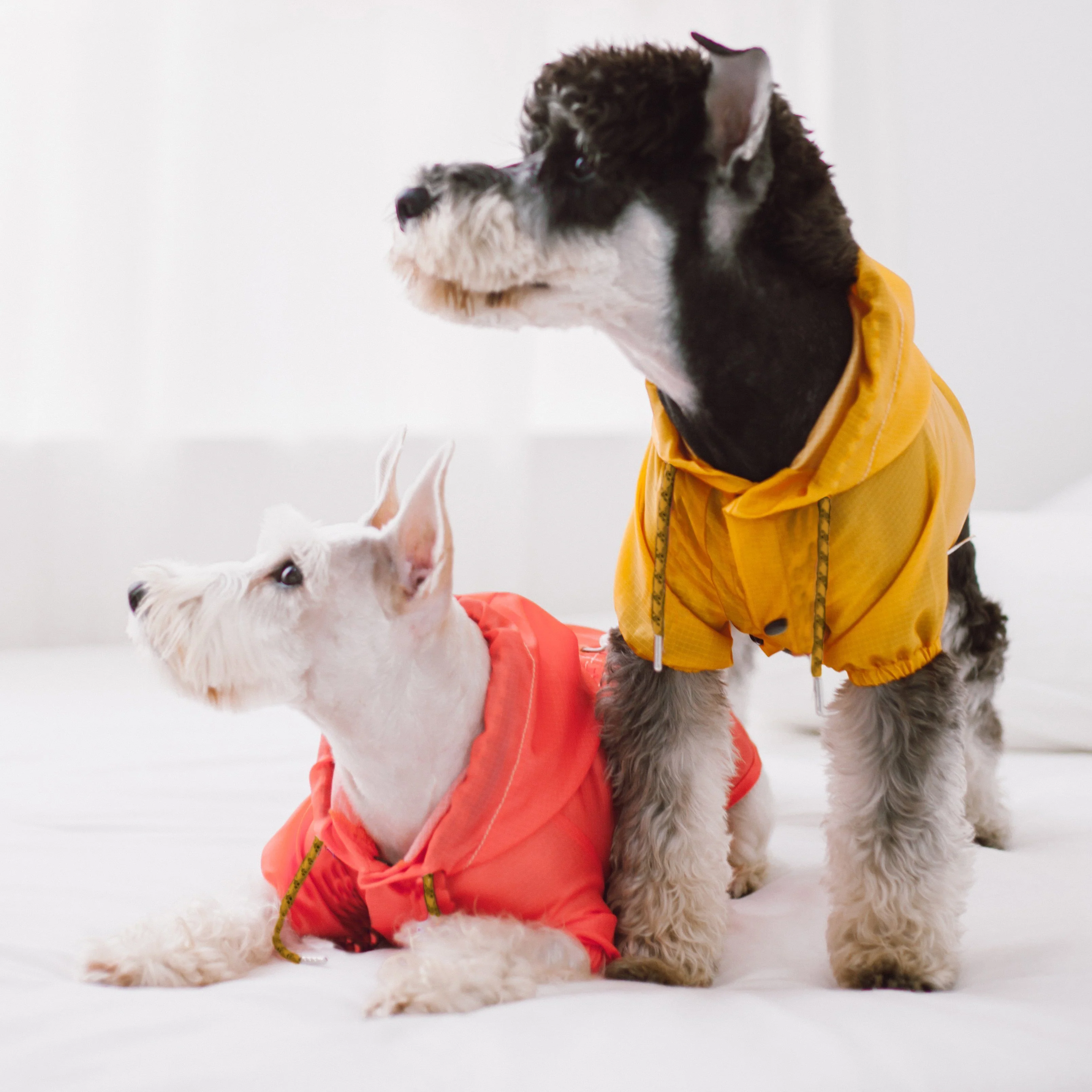 Touchdog Split-Vent Waterproof Dog Raincoat - Image 5