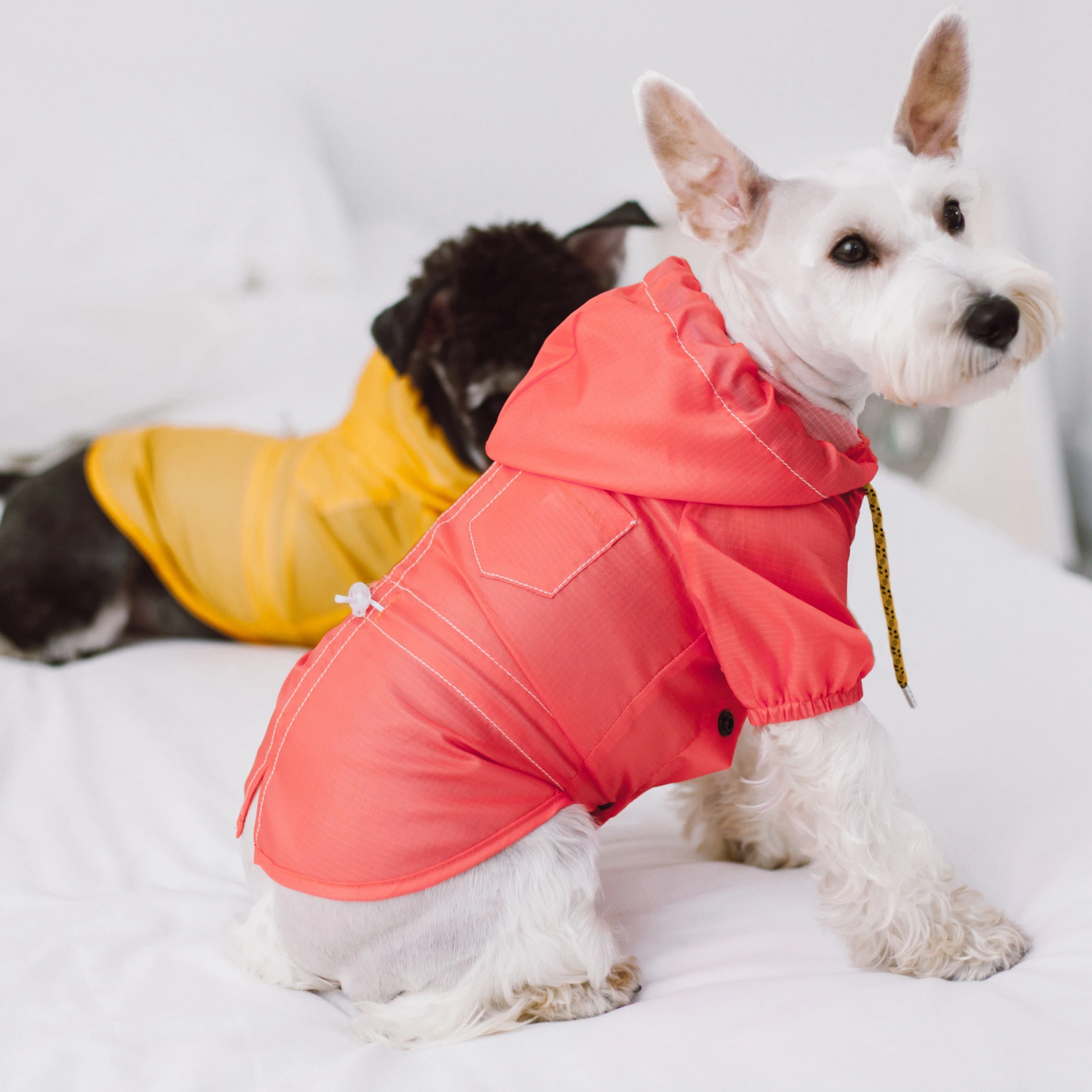 Touchdog Split-Vent Waterproof Dog Raincoat - Image 6