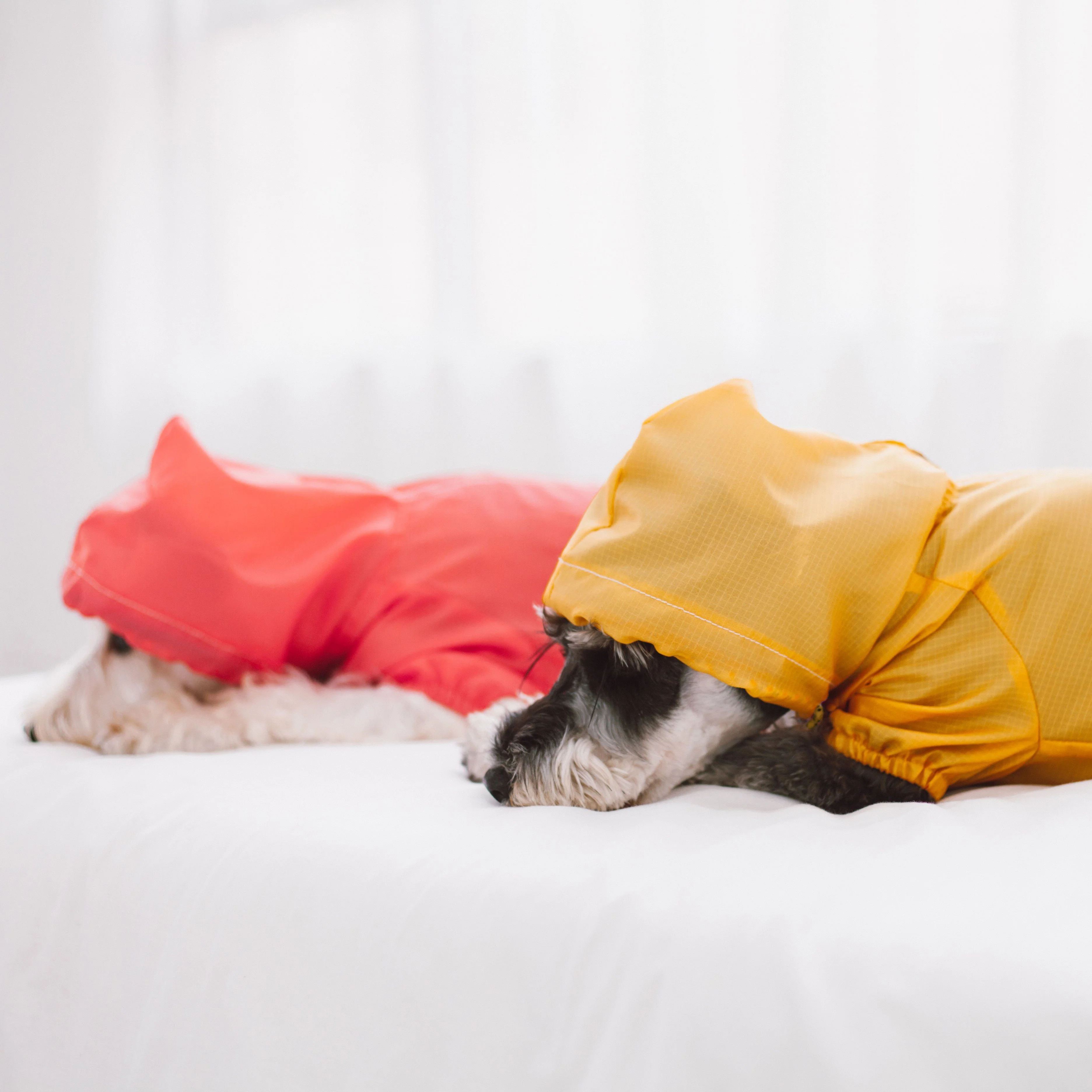 Touchdog Split-Vent Waterproof Dog Raincoat - Image 8
