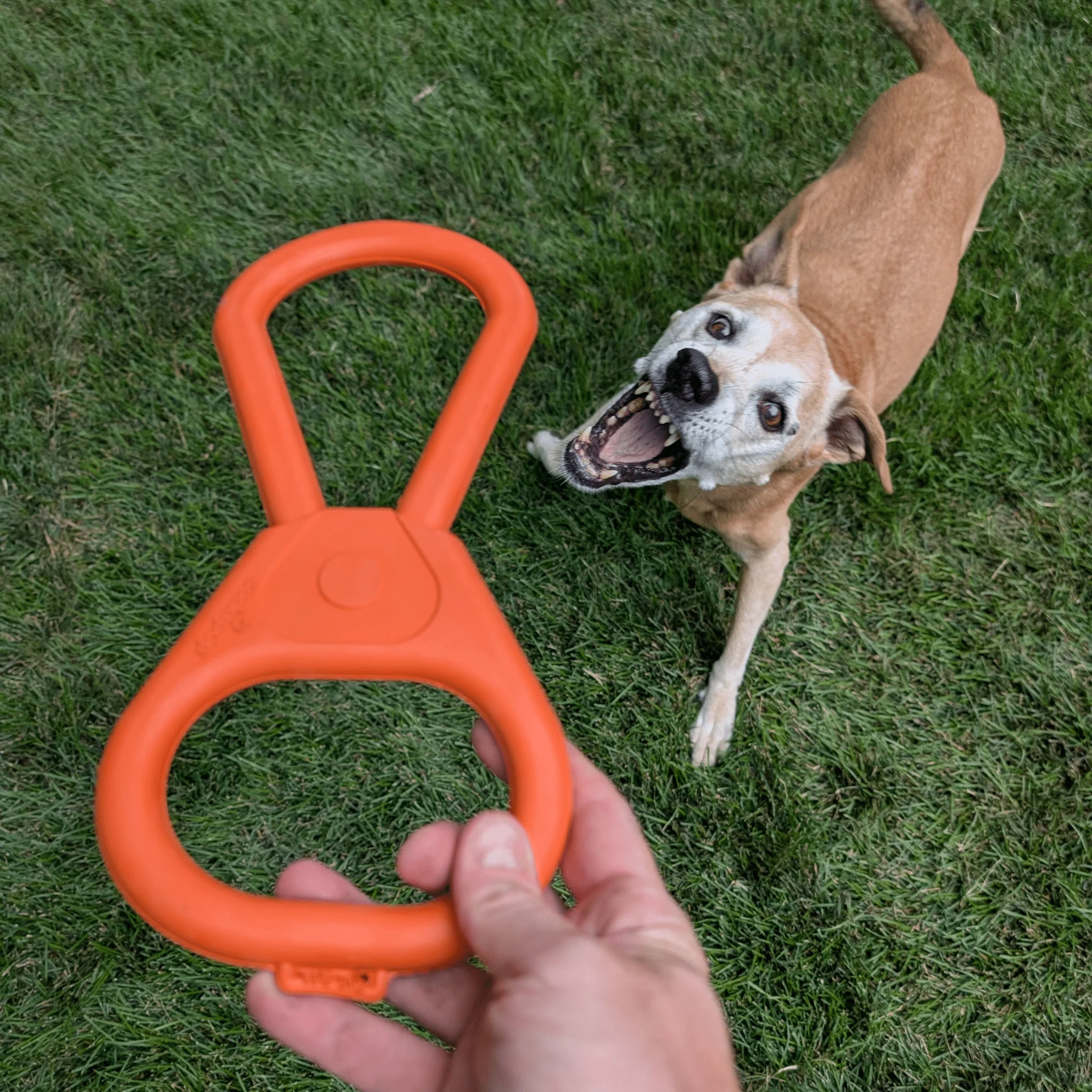 Farm To Pet Choice of Dog Tug Toy - Image 10