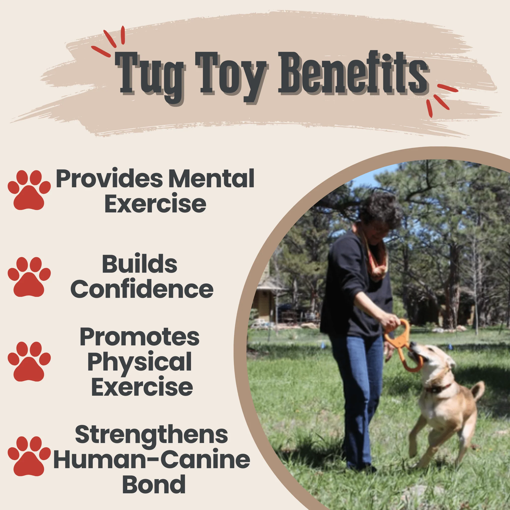 Farm To Pet Choice of Dog Tug Toy - Image 12