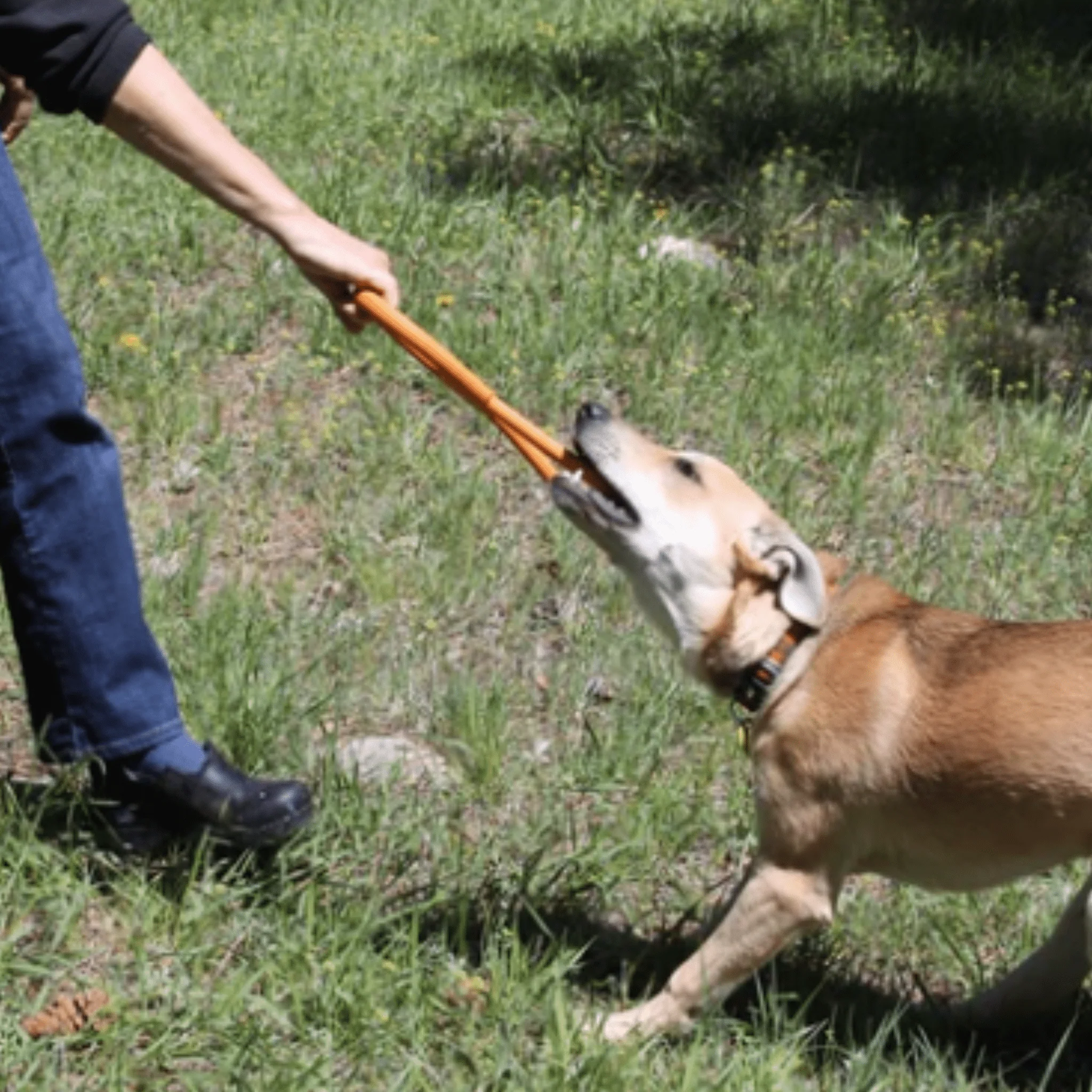 Farm To Pet Choice of Dog Tug Toy - Image 13