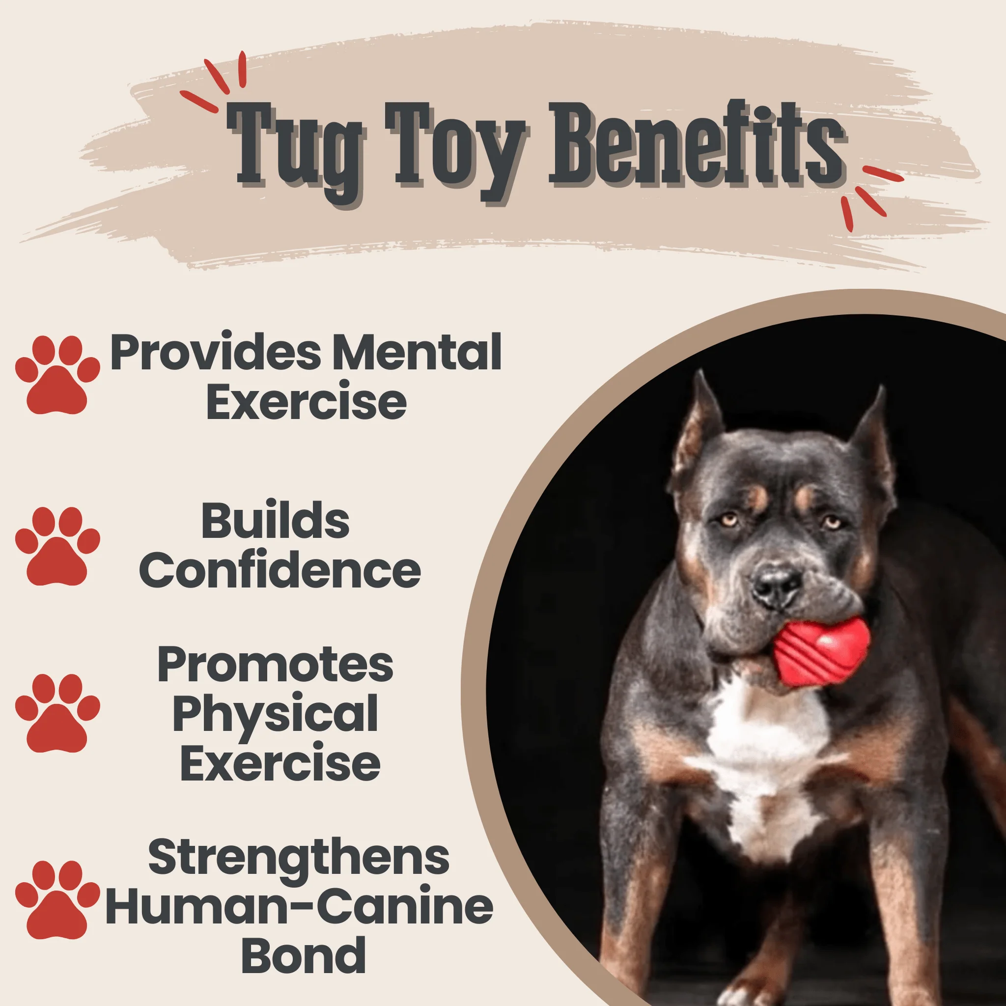 Farm To Pet Choice of Dog Tug Toy - Image 5