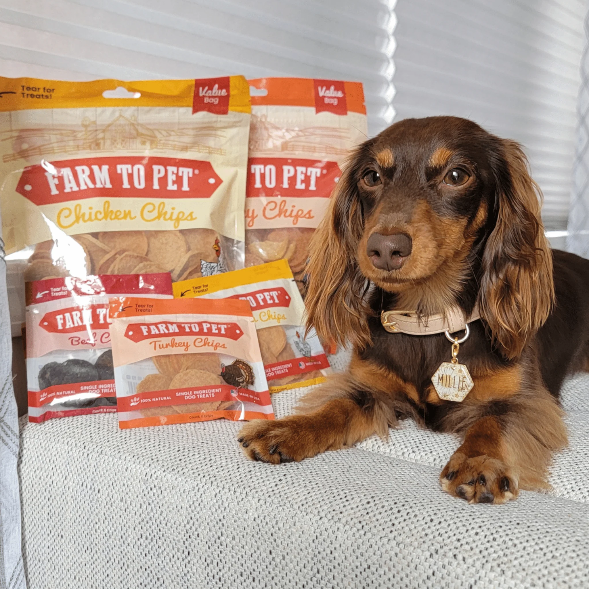Farm To Pet Single-Ingredient Turkey & Chicken Chip Dog Treat Duo - Image 10