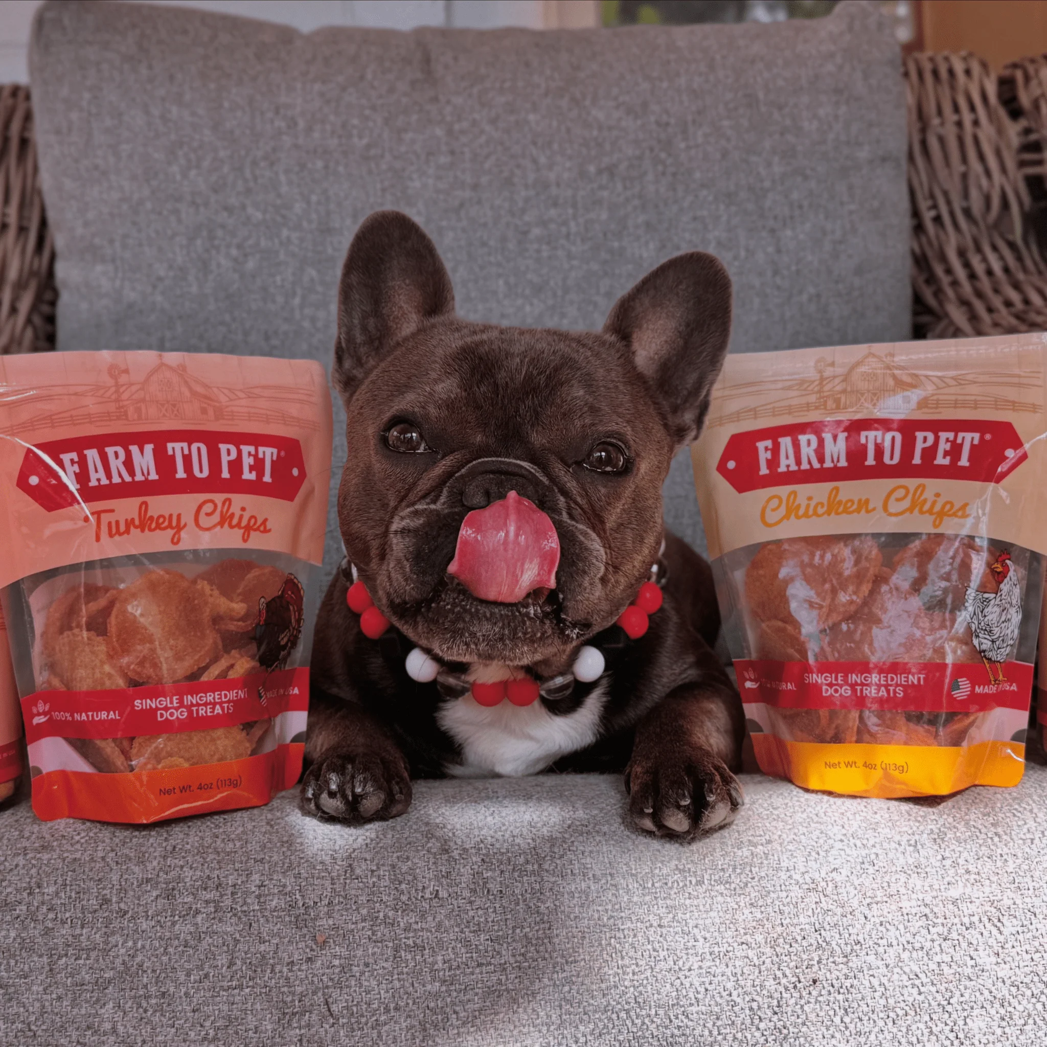 Farm To Pet Single-Ingredient Turkey & Chicken Chip Dog Treat Duo - Image 7