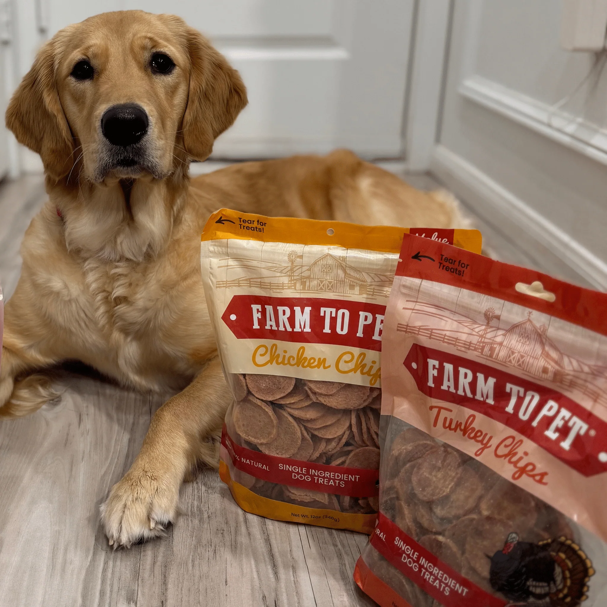 Farm To Pet Single-Ingredient Turkey & Chicken Chip Dog Treat Duo - Image 9