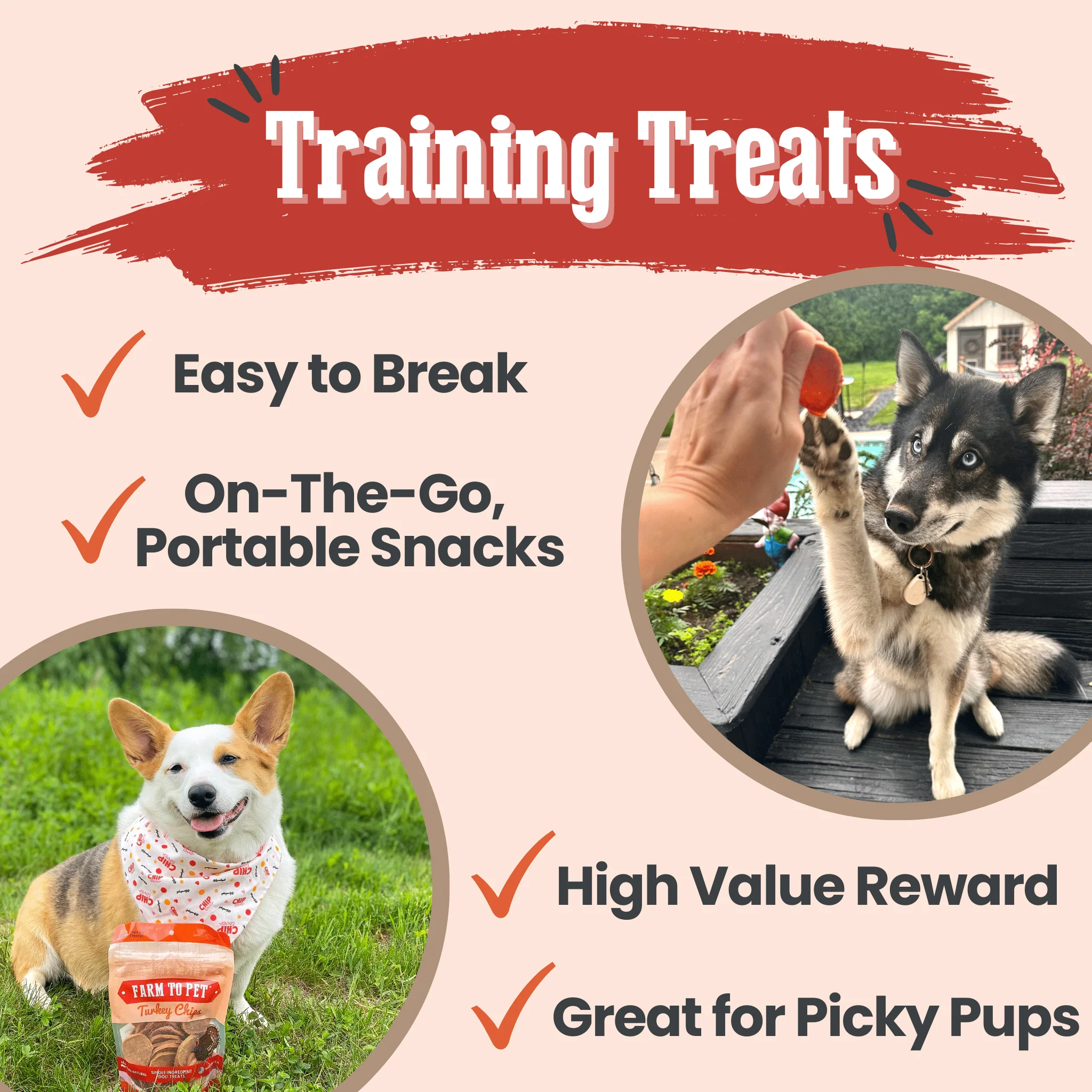 Farm To Pet All-Natural Single-Ingredient Turkey Chips Dog Treats - Image 4