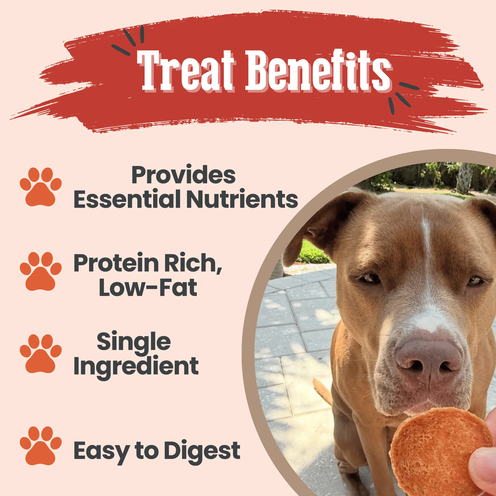 Farm To Pet All-Natural Single-Ingredient Turkey Chips Dog Treats - Image 5