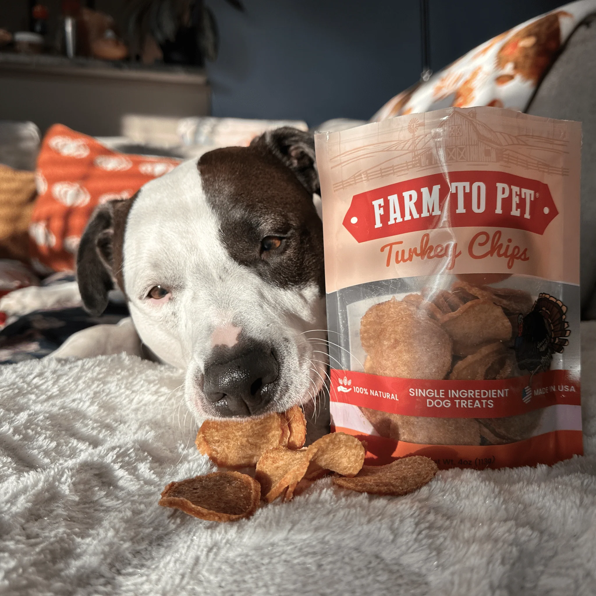 Farm To Pet All-Natural Single-Ingredient Turkey Chips Dog Treats - Image 7