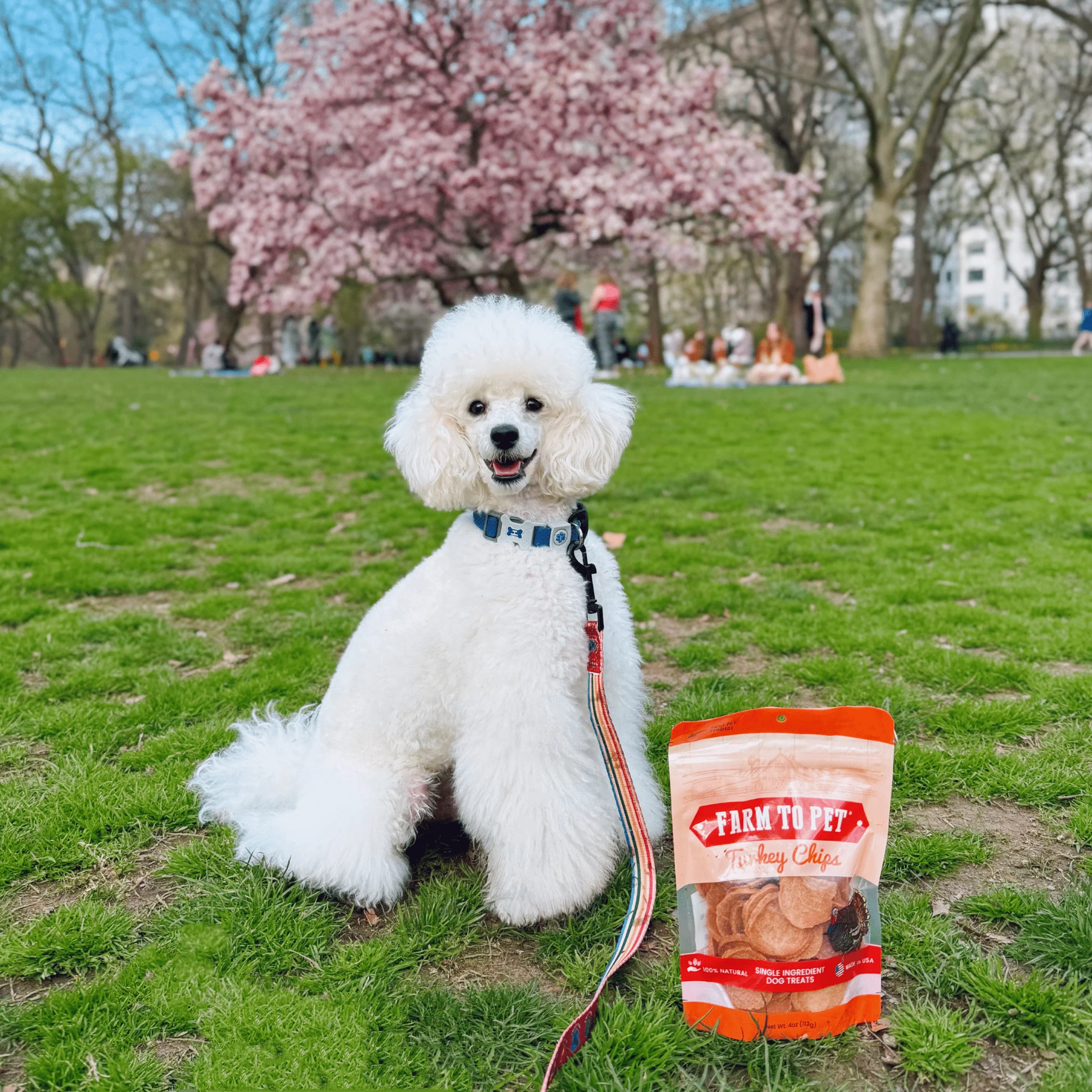 Farm To Pet All-Natural Single-Ingredient Turkey Chips Dog Treats - Image 8