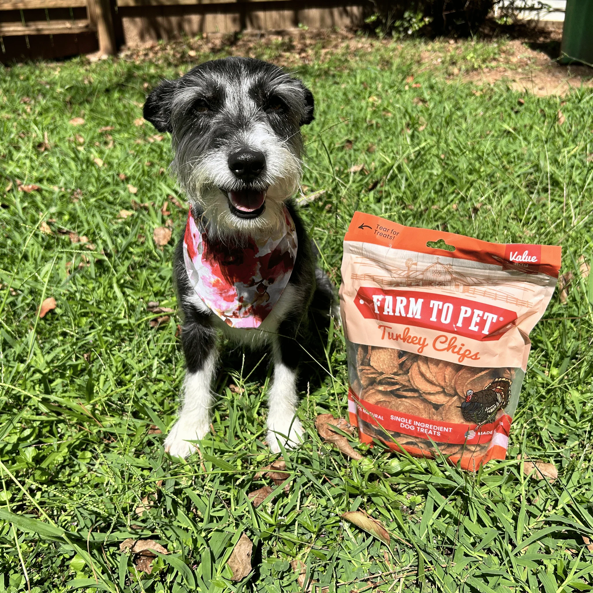 Farm To Pet All-Natural Single-Ingredient Turkey Chips Dog Treats - Image 9