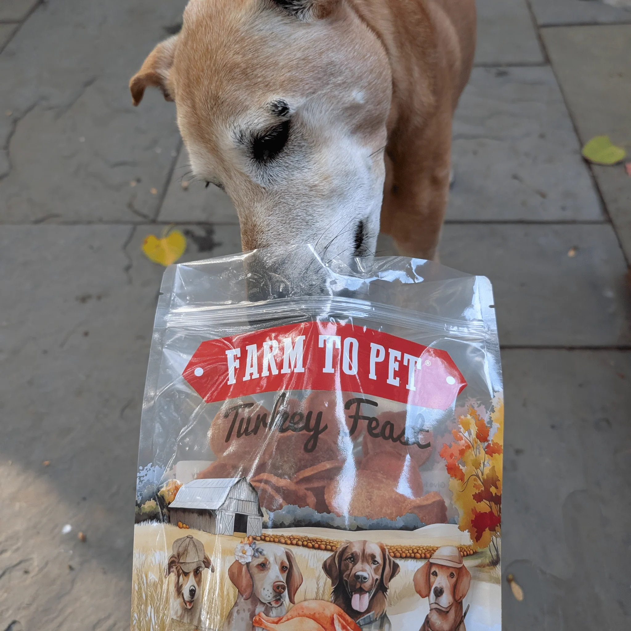 Farm To Pet 100% Natural Turkey Chip Dog Treats - Image 3