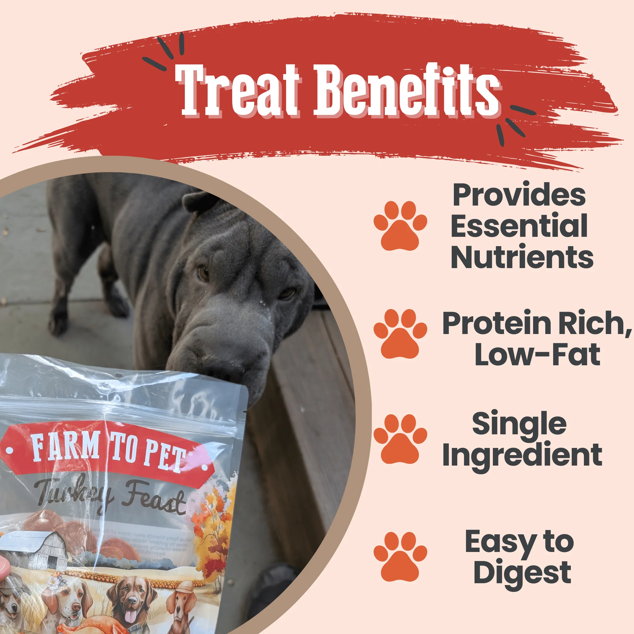 Farm To Pet 100% Natural Turkey Chip Dog Treats - Image 6